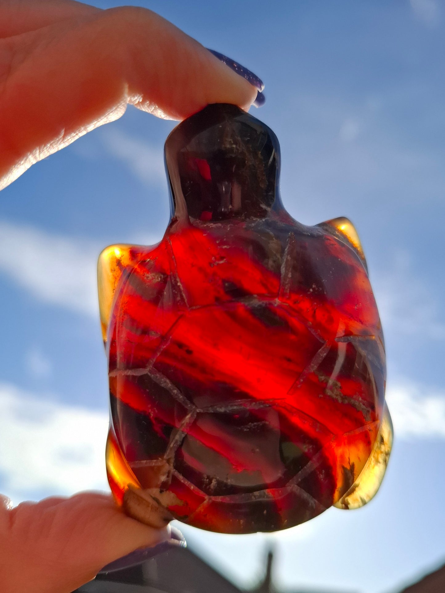 Red Amber Turtle, 56.87g, Carving, Fossil (Ref: TT2)