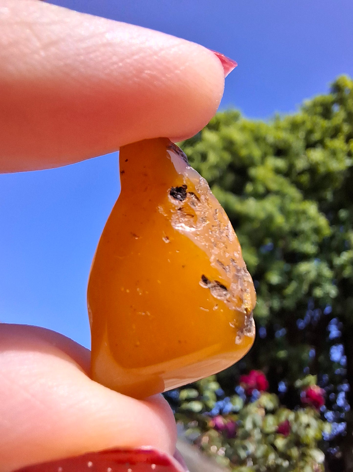 Baltic Amber, 2.20g, Fossil (Ref: A210)