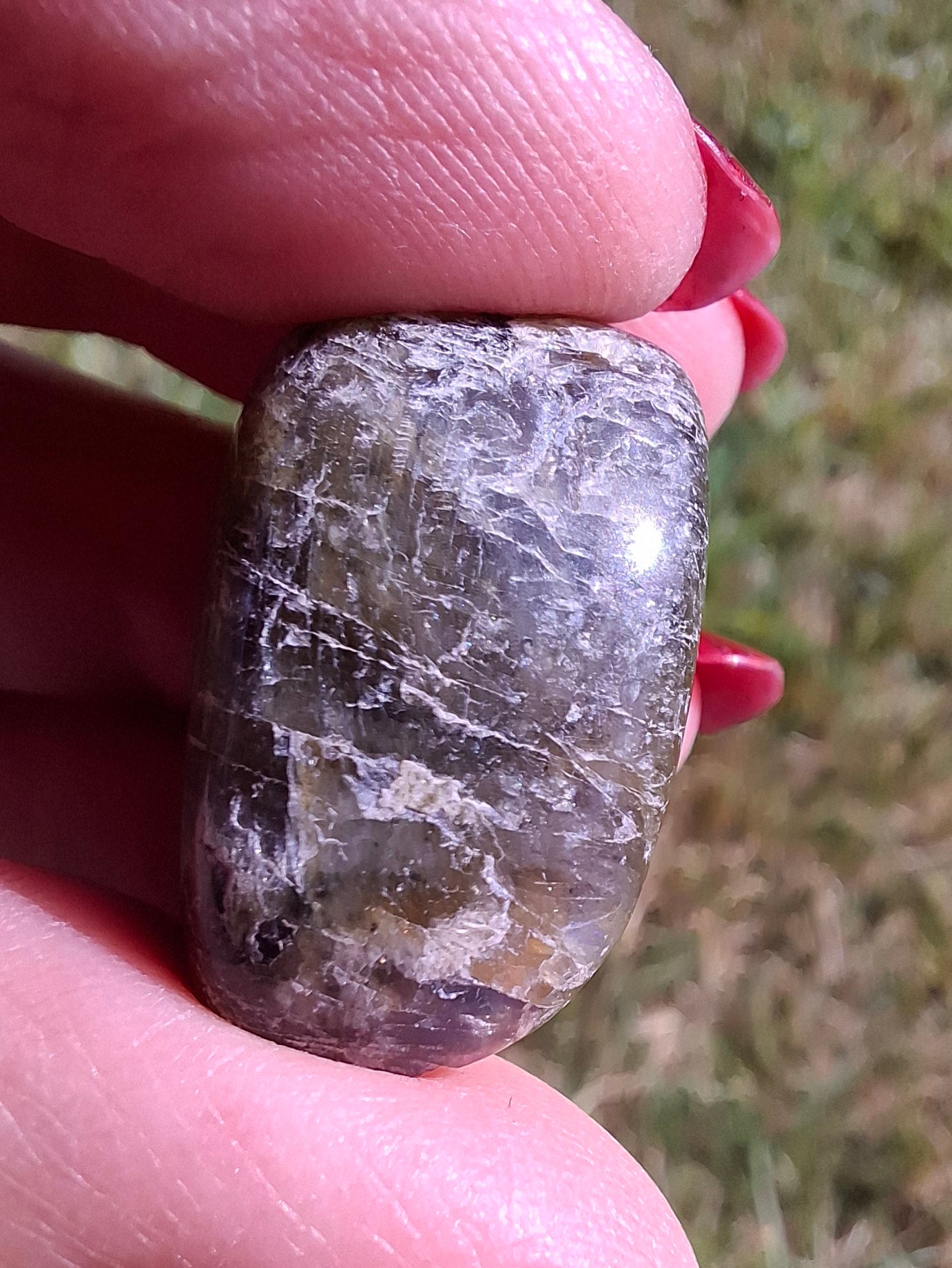 Labradorite, Tumble Stone, Crystal (Ref: T211)