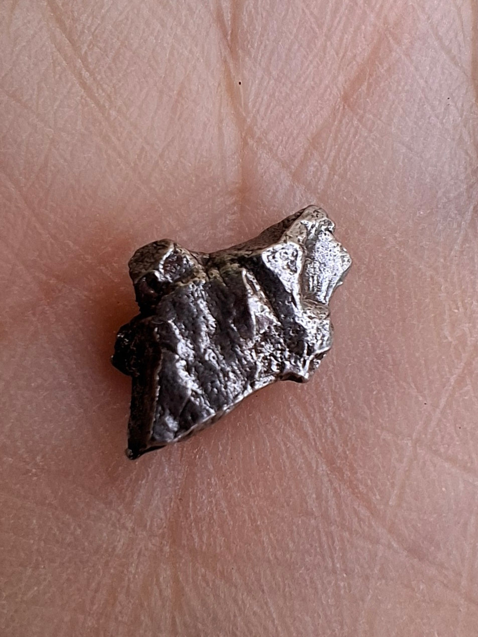 Campo del Cielo, 0.95g, Nickel Iron Meteorite (Ref: C2)