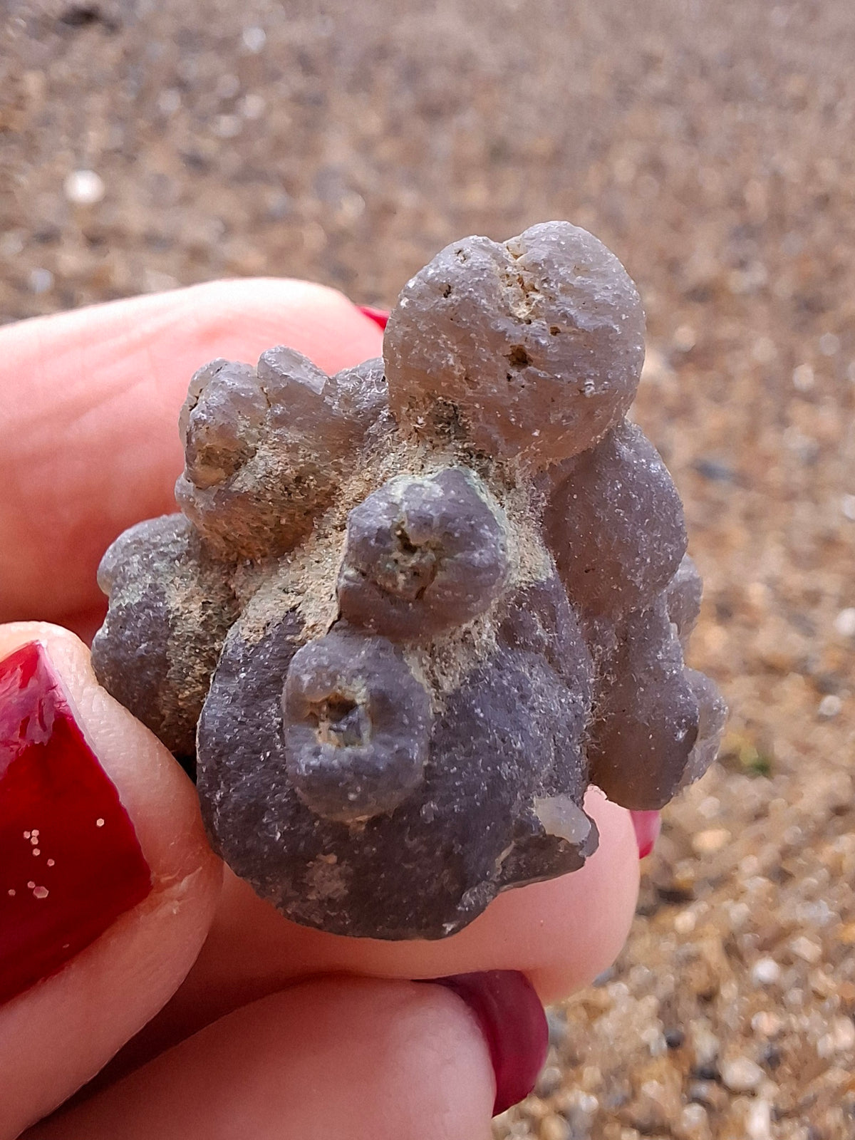 Nebula Chalcedony, 13.45g, Fossil (Ref: NC2)