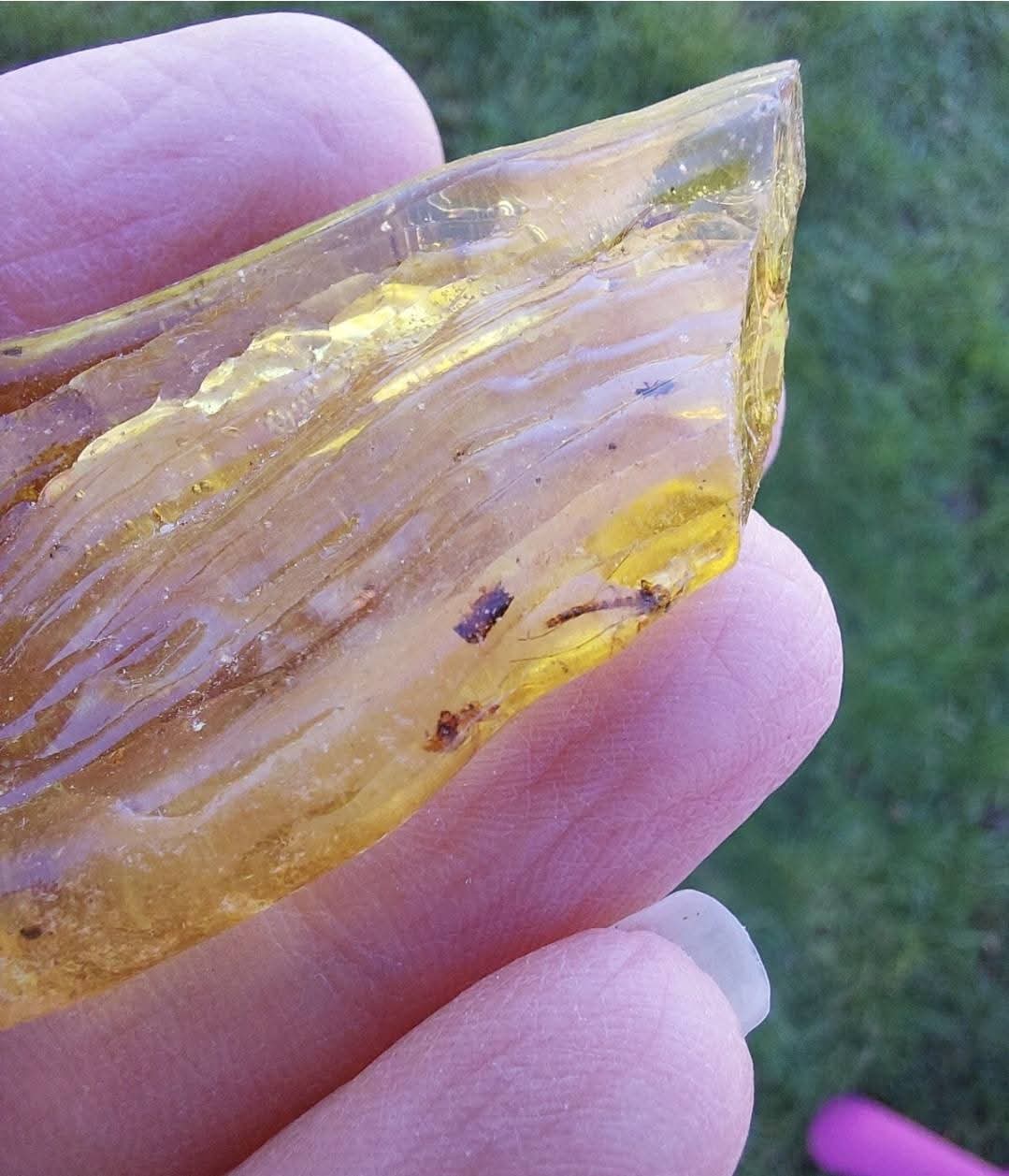 Copal Young Amber with INSECTS inside, 6.42g, Fossil (Ref: CA38)