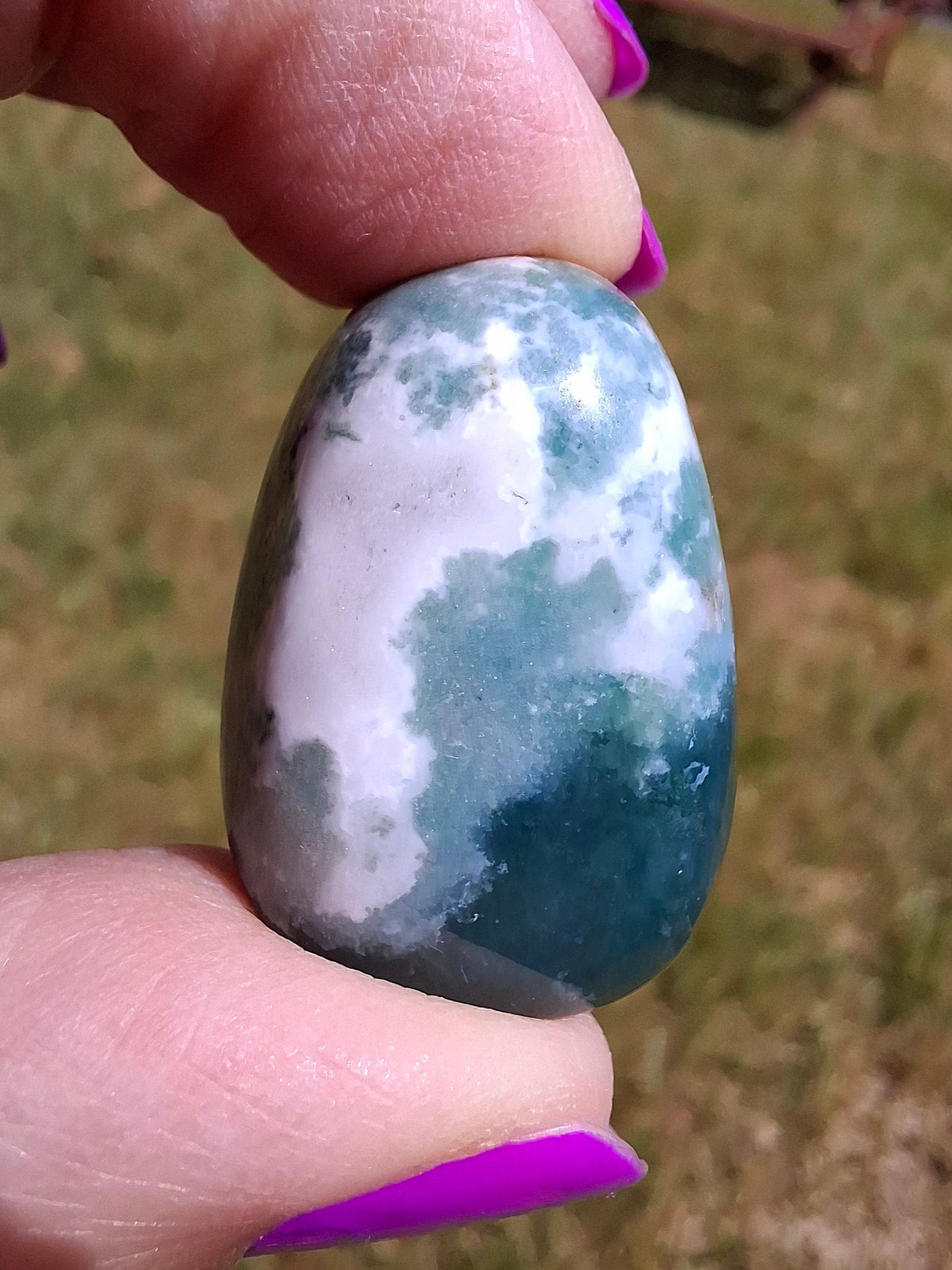 Tree Agate, Tumble Stone, Crystal (Ref: T4)