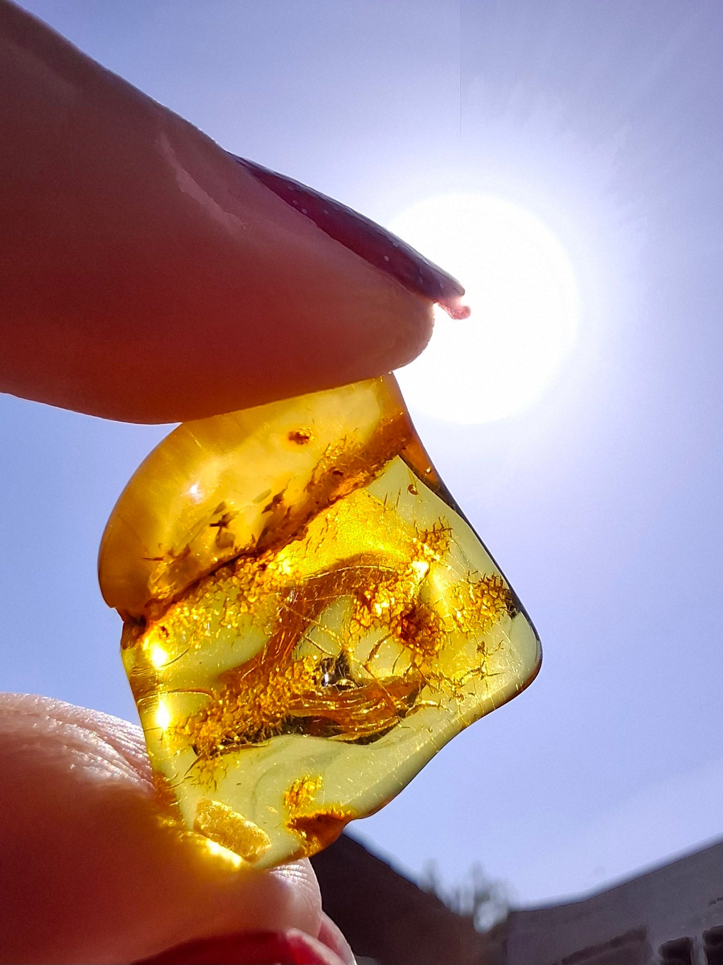 Baltic Amber, 1.51g, Fossil (Ref: A236)