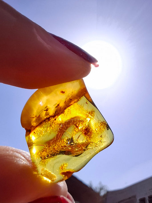 Baltic Amber, 1.51g, Fossil (Ref: A236)