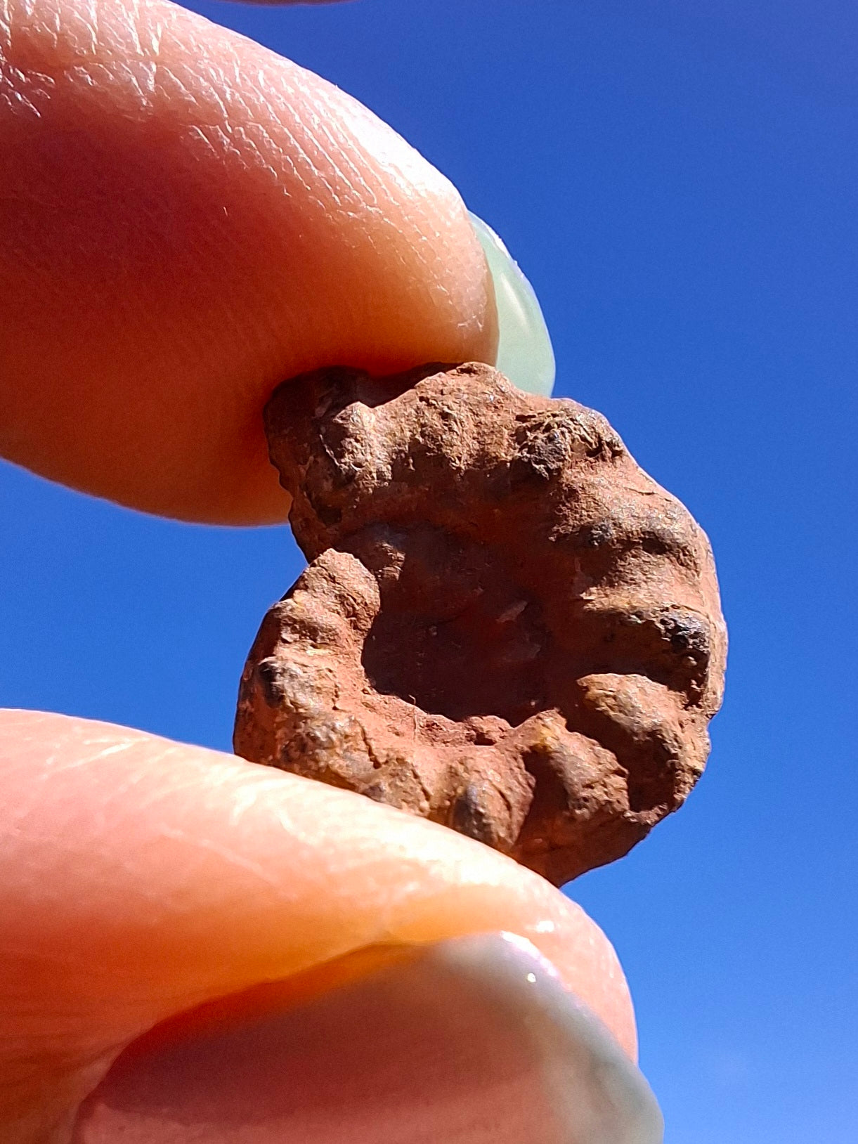 Small Haematite Ammonite HALF, 1.41g, Fossil (Ref: MA6)