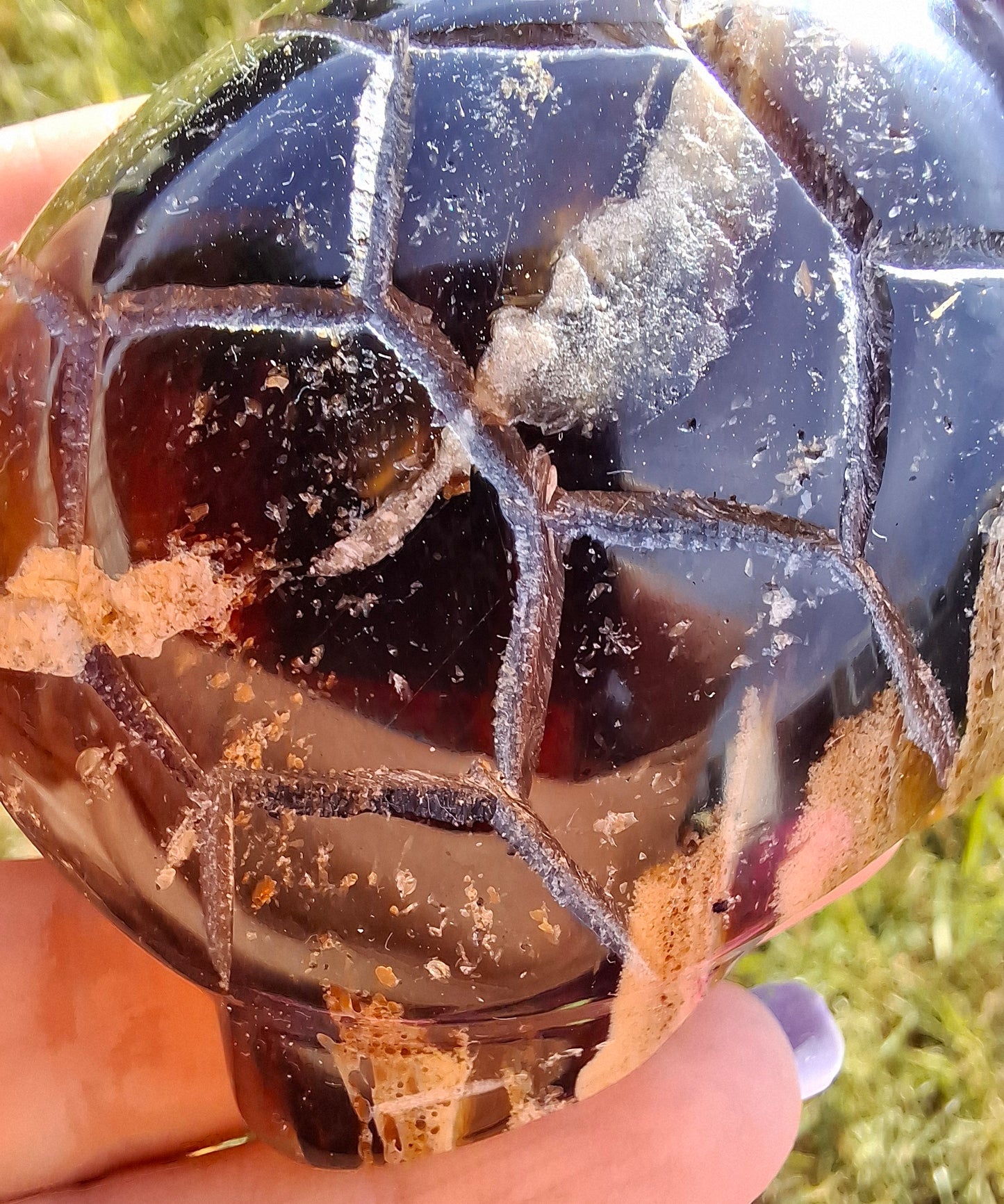 Red Amber Turtle, 50.00g, Carving, Fossil (Ref: TT6)