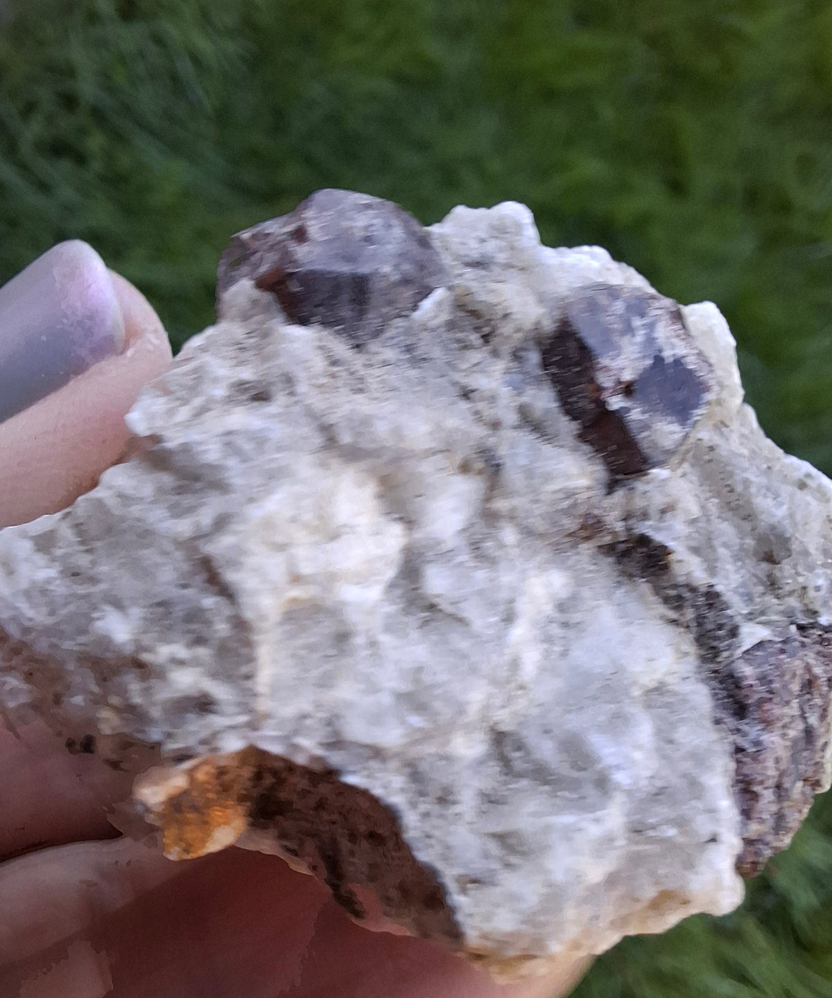 (Dig your own) Garnet in Matrix, Crystal (Ref: RG6)