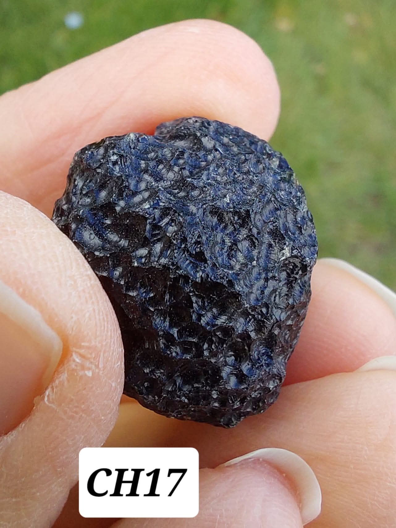 Guang Dong (Chinese), 12.96g, Tektite