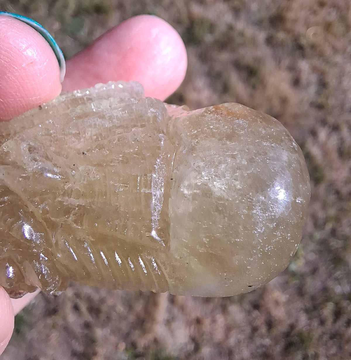 Libyan Desert Glass DRAGON HEAD carving, 48.11g, Tektite (Ref: Dragon4)
