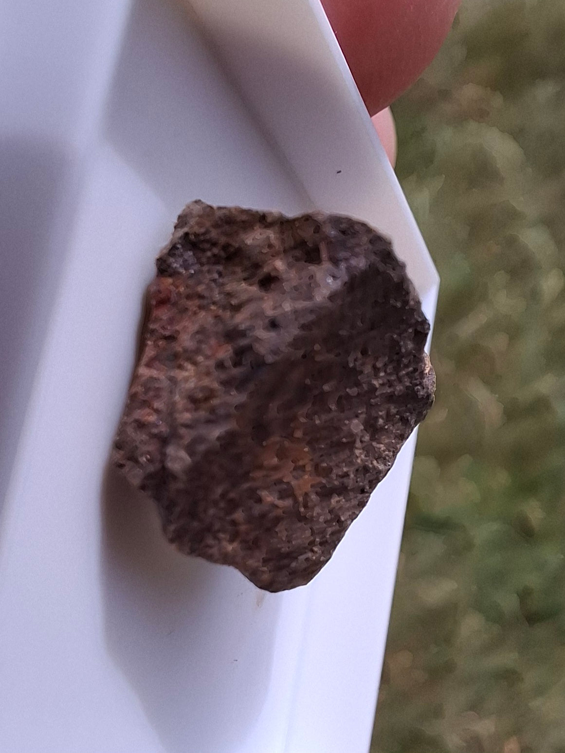Chondrite, Meteorite (Ref: CM8)