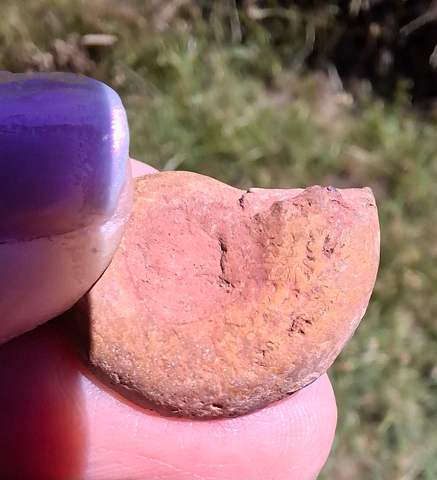 Small Haematite Ammonite HALF, (2.91g), Fossil (Ref: MA1)