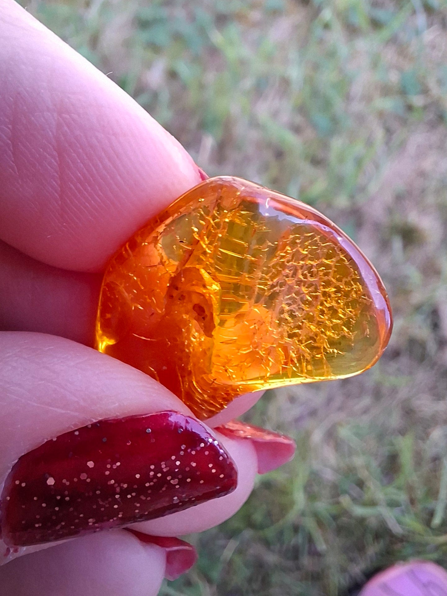 Baltic Amber, 1.07g, Fossil (Ref: A98)