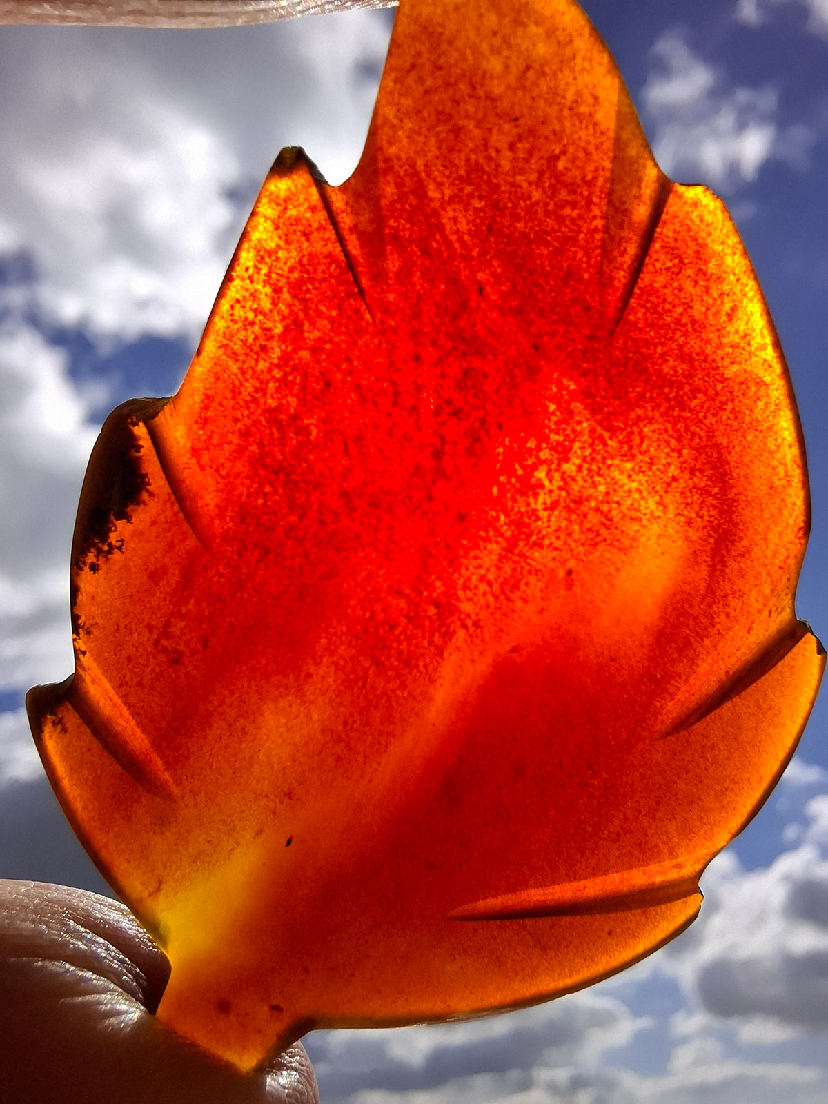 Red Amber Leaf Carving, 7.03g, Fossil (Ref: Leaf11)