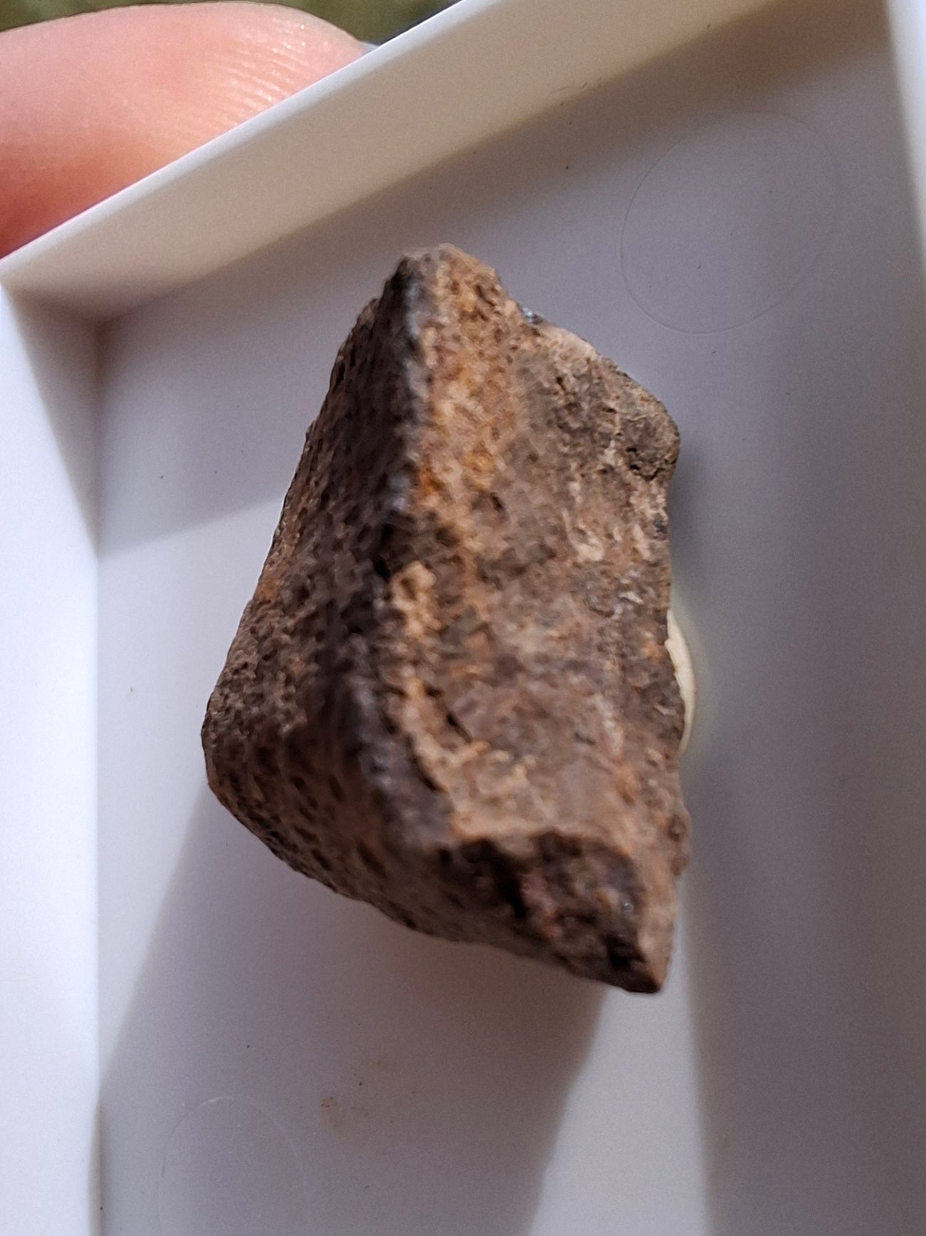 Chondrite, Meteorite (Ref: CM8)