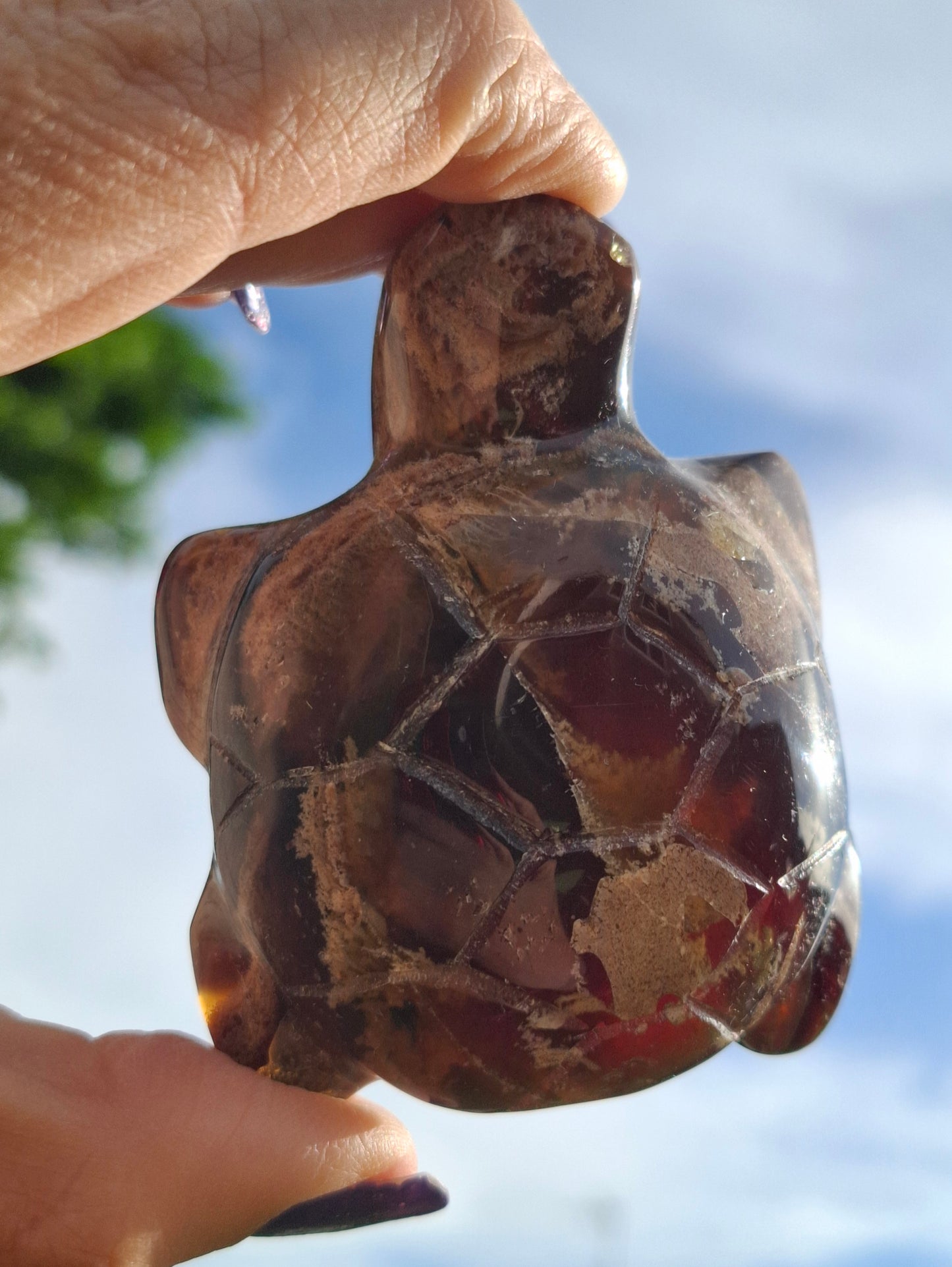 Red Amber Turtle, 56.87g, Carving, Fossil (Ref:TT7)