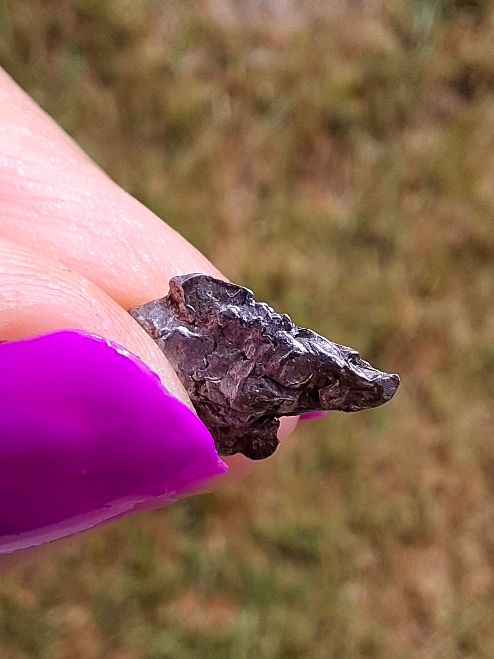 Campo del Cielo, 0.37g, Nickel Iron Meteorite (Ref: C13)