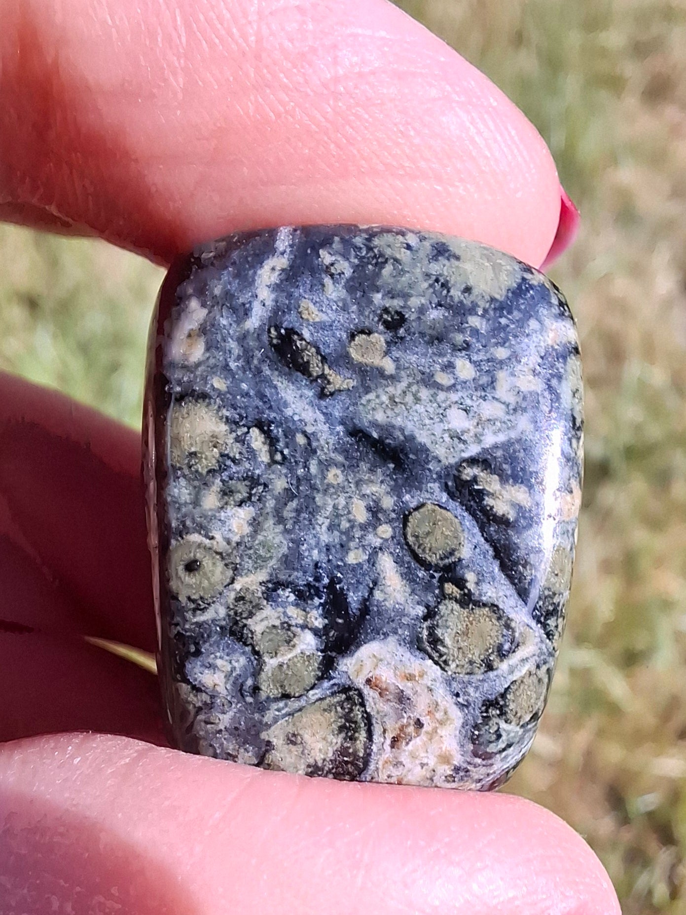 Kambaba Jasper, Tumble Stone, Crystal (Ref: T164)
