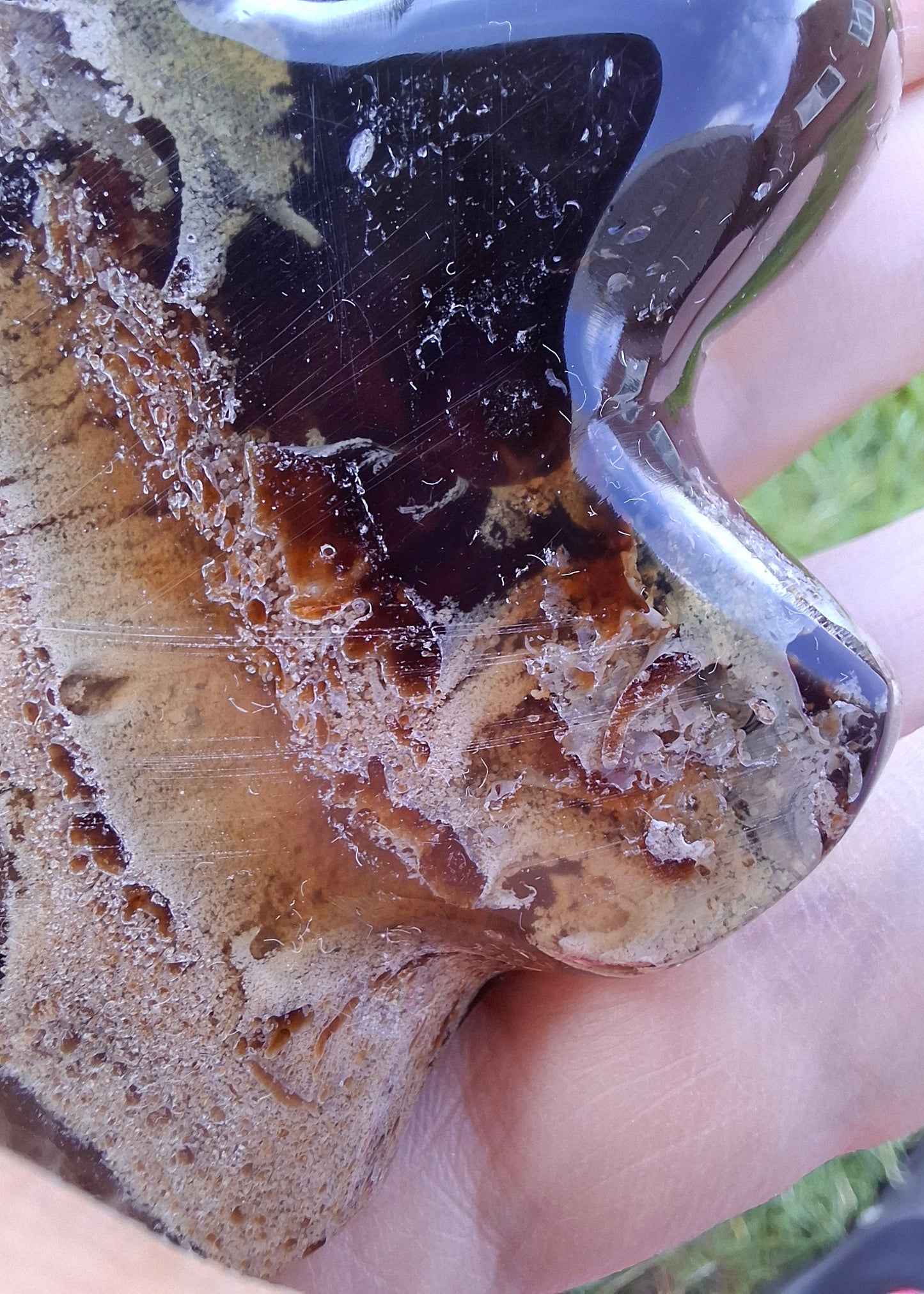 Red Amber Turtle, 56.87g, Carving, Fossil (Ref:TT7)