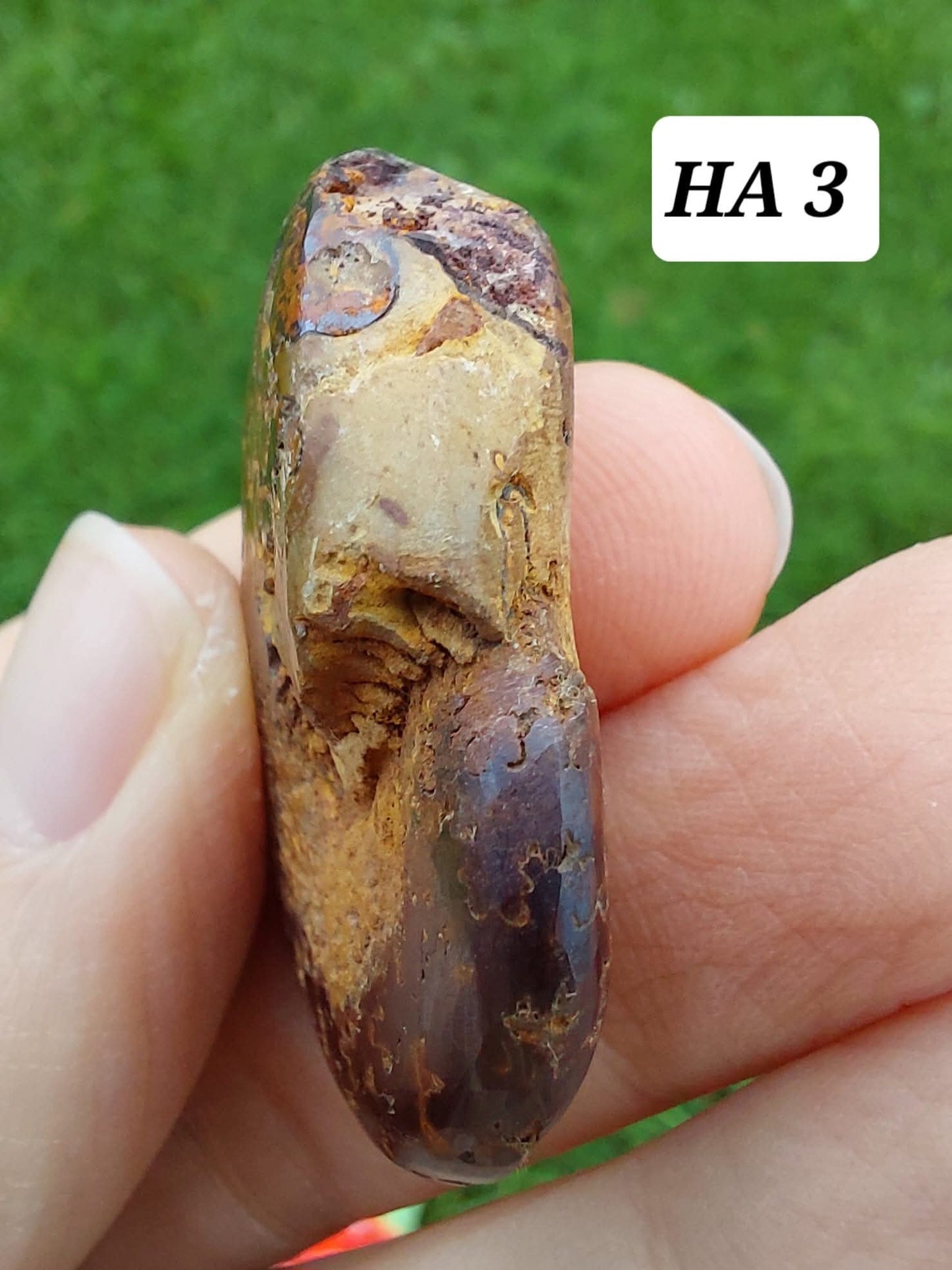 Hematite Ammonite, 16.00g, Fossil (Ref: HA3)