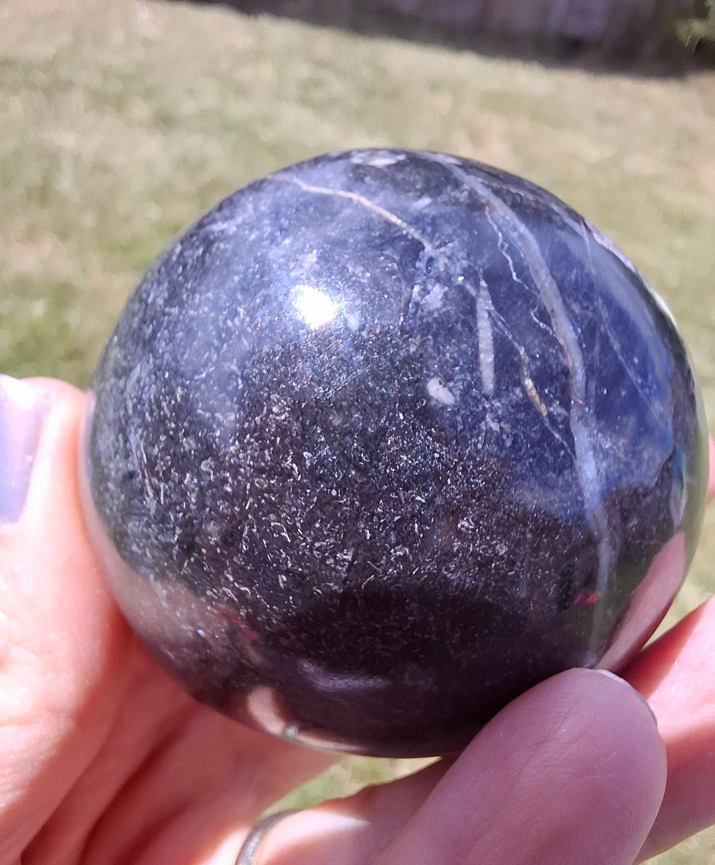 Orthoceras Sphere, Fossil (Ref: OS4)