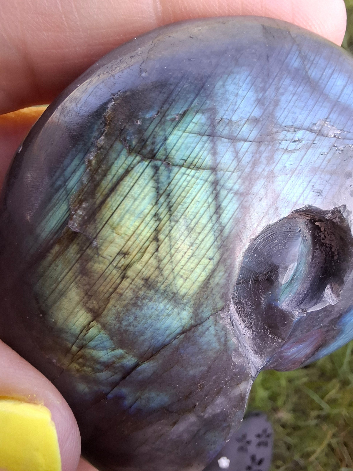 Labradorite Ammonite Carving, 111.66g, Crystal (Ref: laba3)