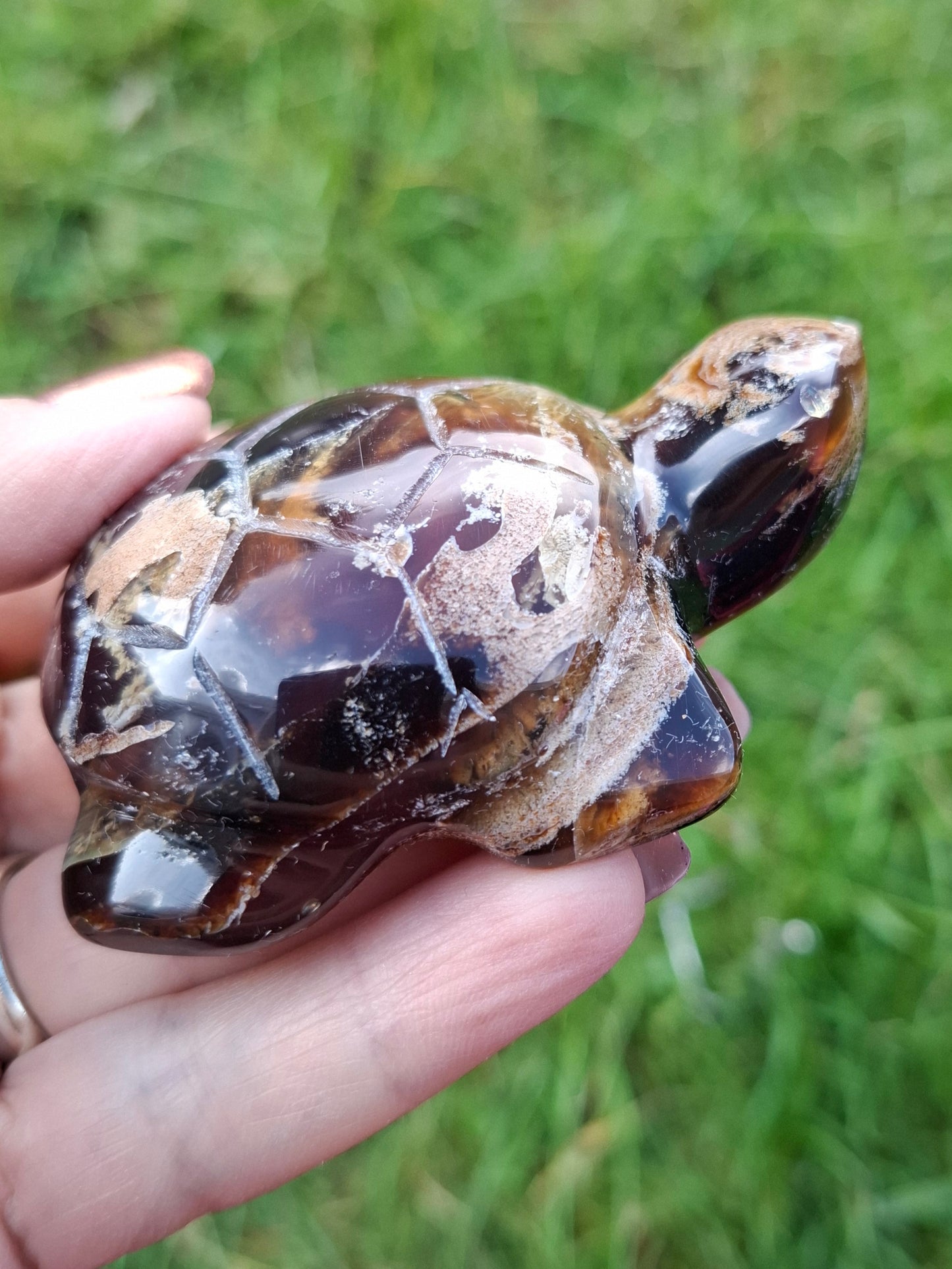 Red Amber Turtle, 56.87g, Carving, Fossil (Ref:TT7)