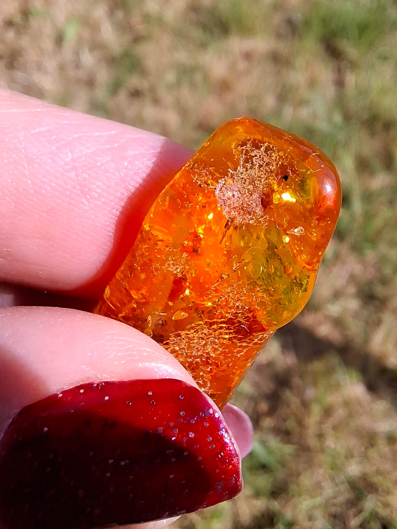 Baltic Amber, 2.95g, Fossil (Ref: A159)