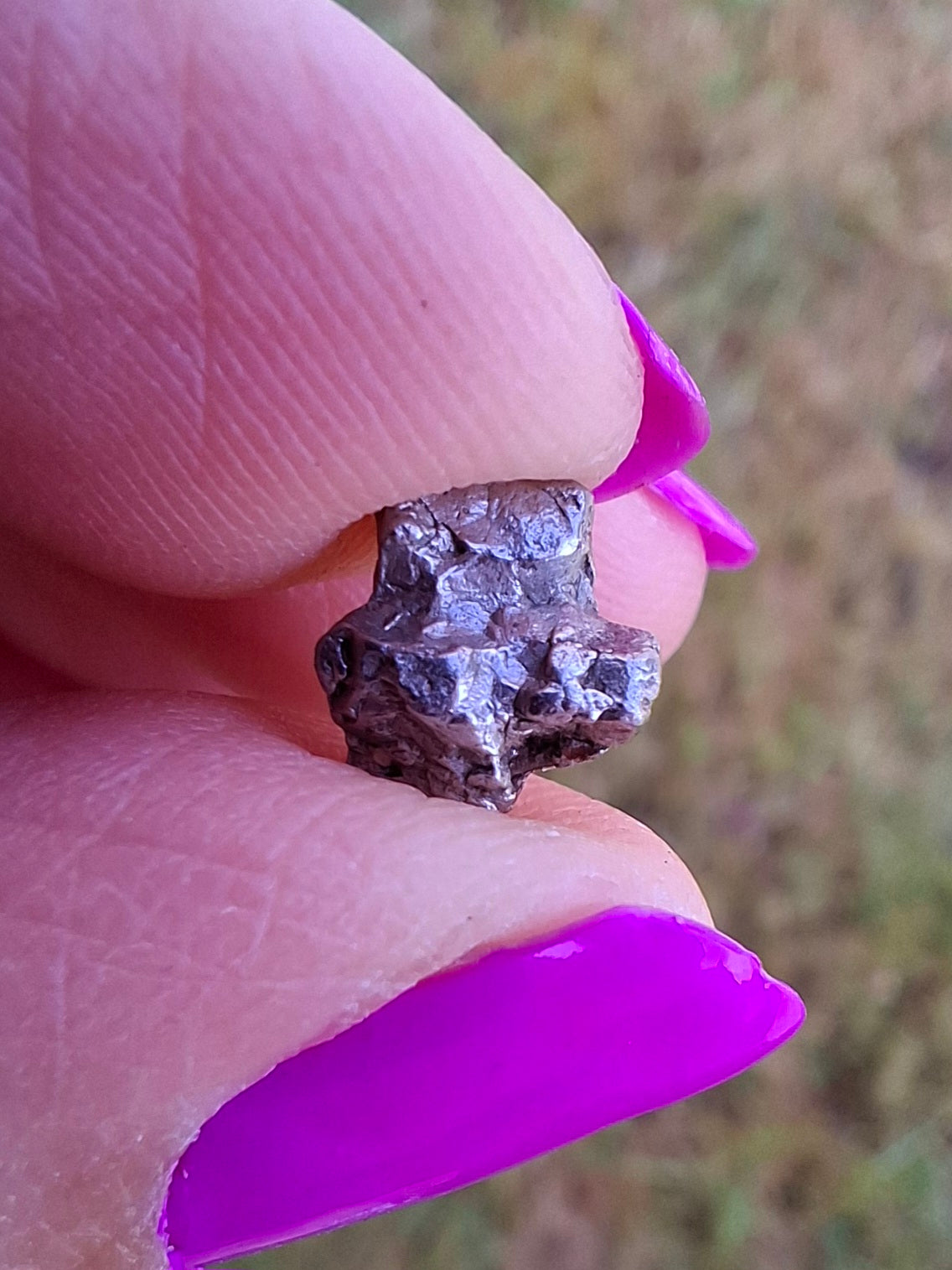 Campo del Cielo, 1.18g, Nickel Iron Meteorite (Ref: C10)