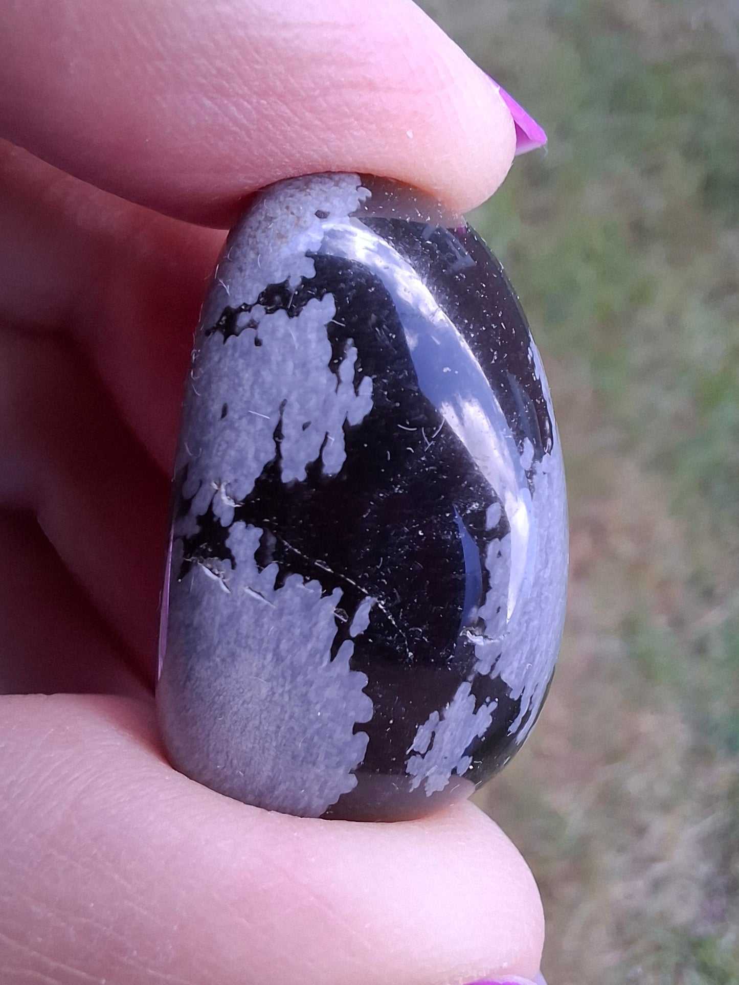 Snowflake Obsidian, Tumble Stone, Crystal (Ref: T99)