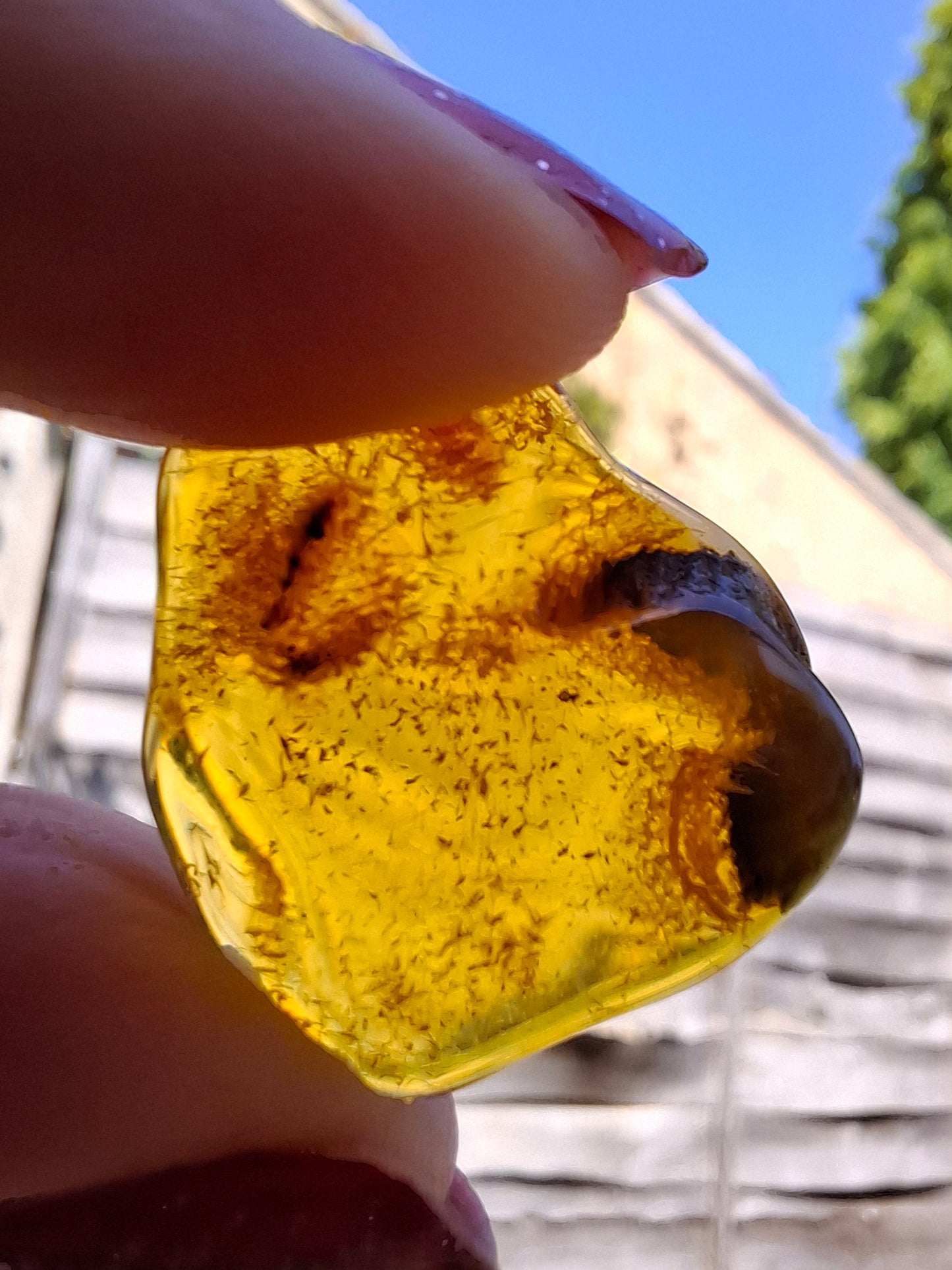 Baltic Amber, 1.45g, Fossil (Ref: A76)
