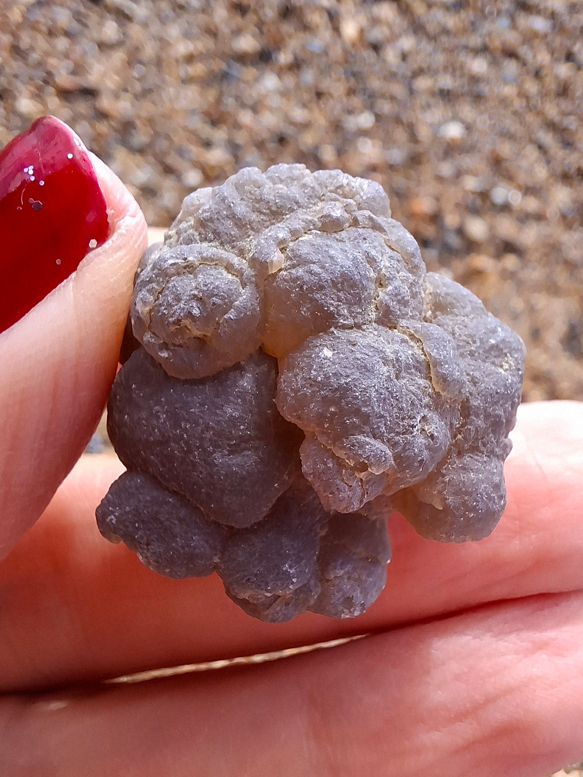 Nebula Chalcedony, 16.57g, Fossil (Ref: NC10)