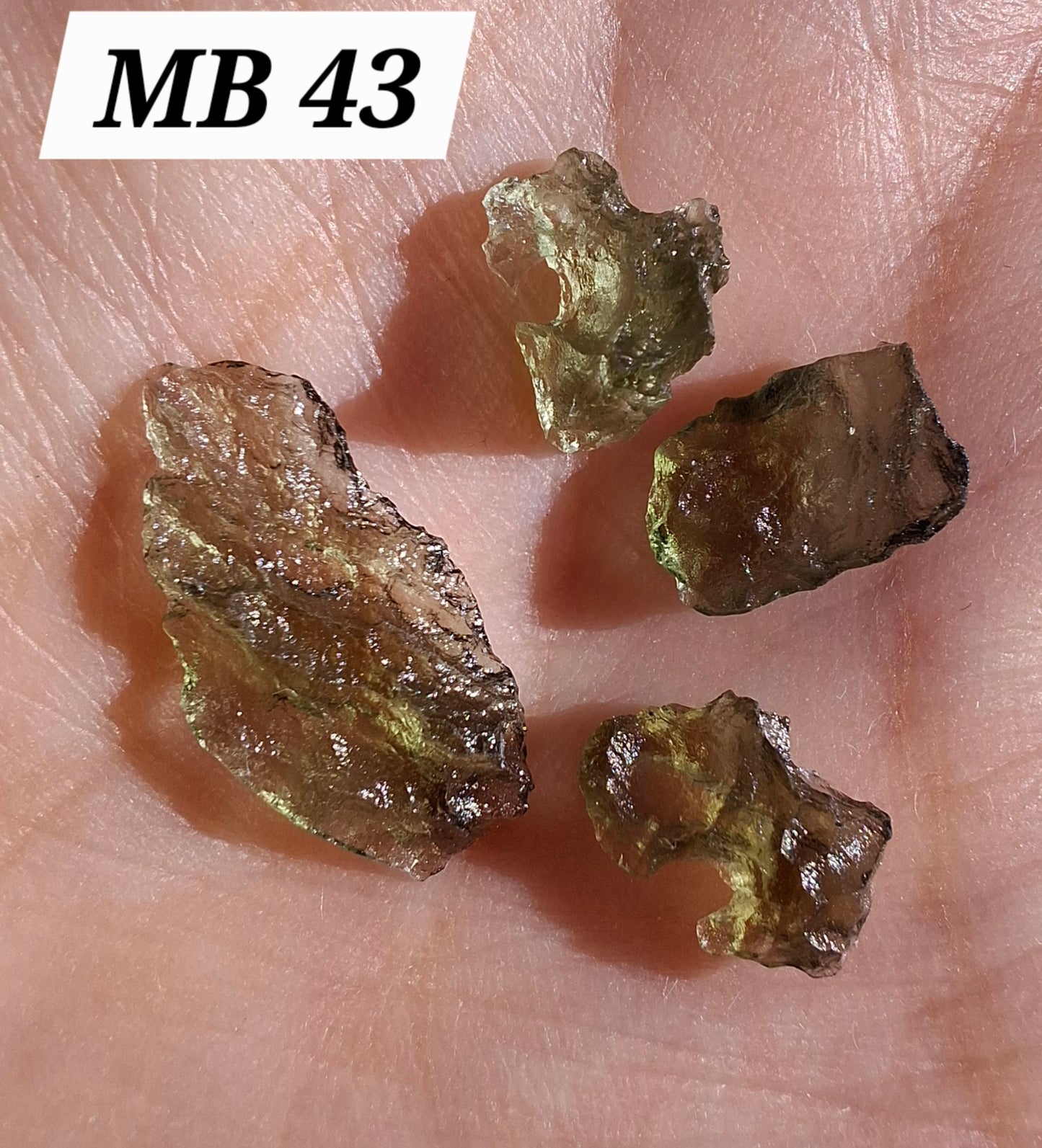 Moldavite chip Bundle, 1g, 4 pcs, Tektite (MB43)