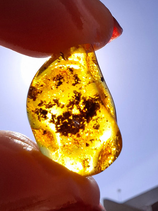 Baltic Amber, 1.13g, Fossil (Ref: A241)