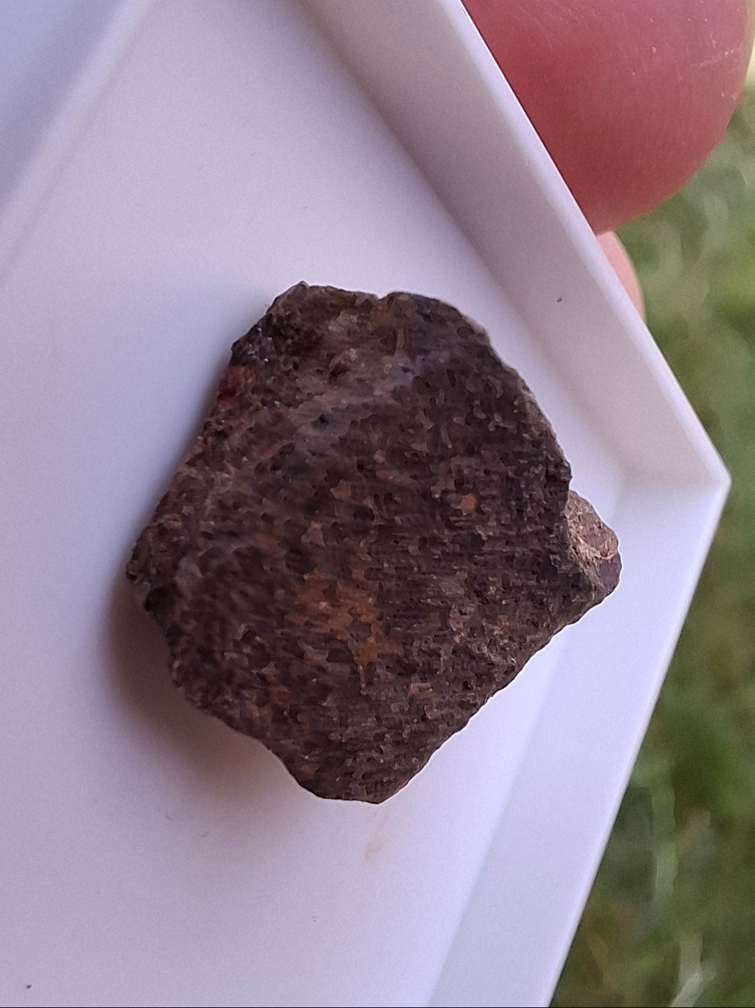 Chondrite, Meteorite (Ref: CM8)