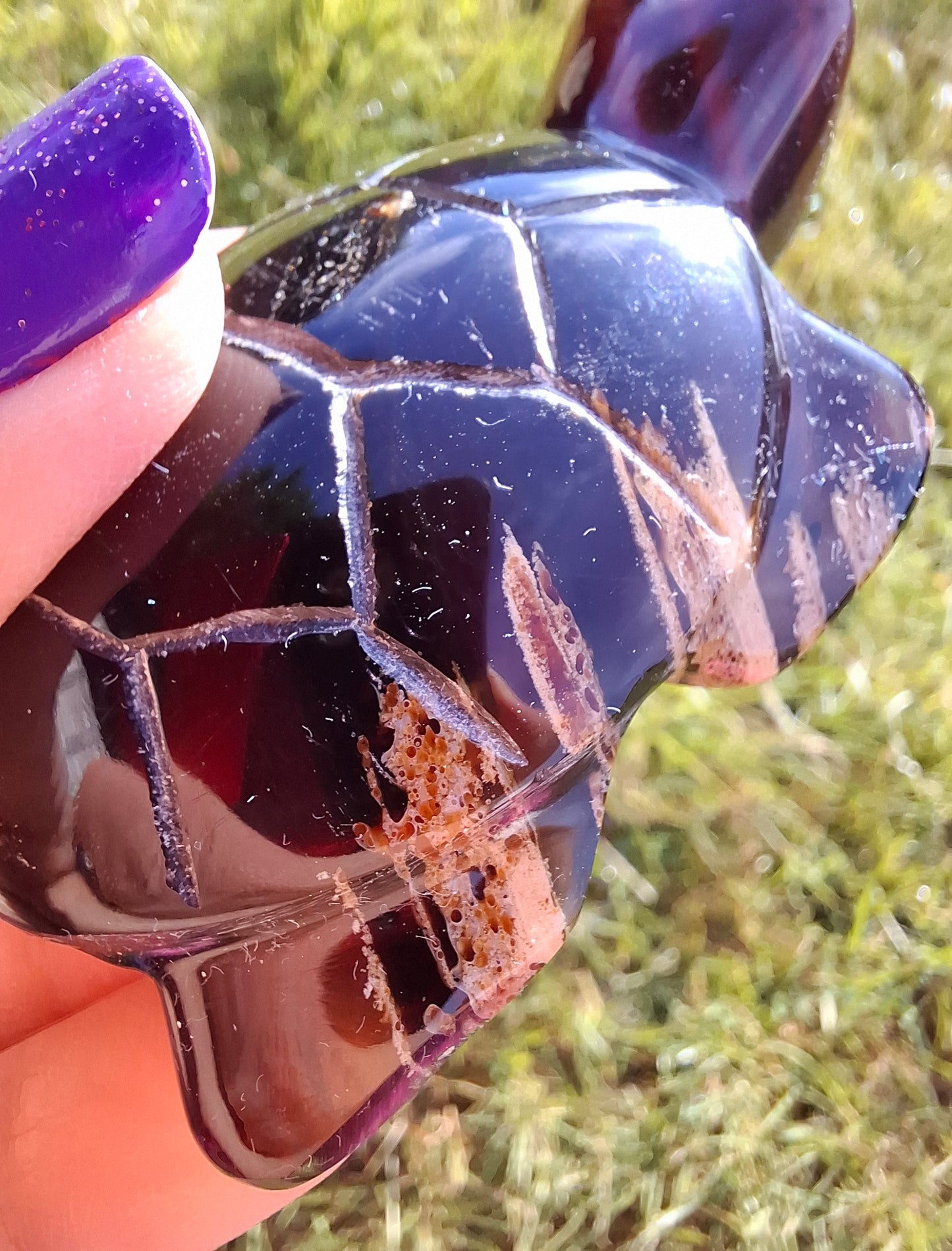 Red Amber Turtle, 47.85g, Carving, Fossil (Ref: TT4)