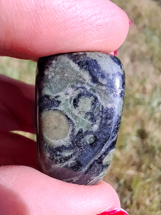 Kambaba Jasper, Tumble Stone, Crystal (Ref: T161)