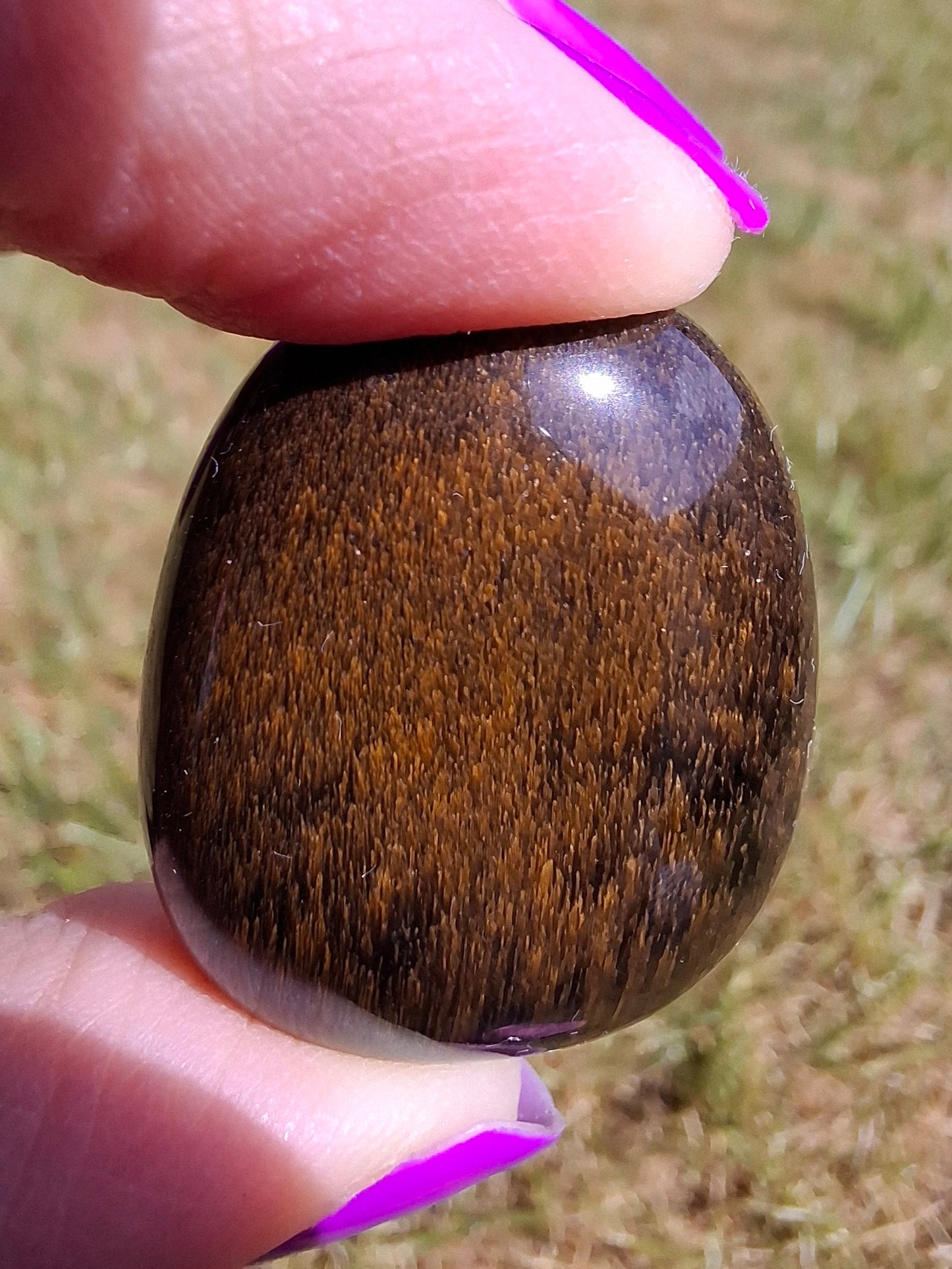 Blue Tigers Eye, Tumble Stone, Crystal (Ref: T19)