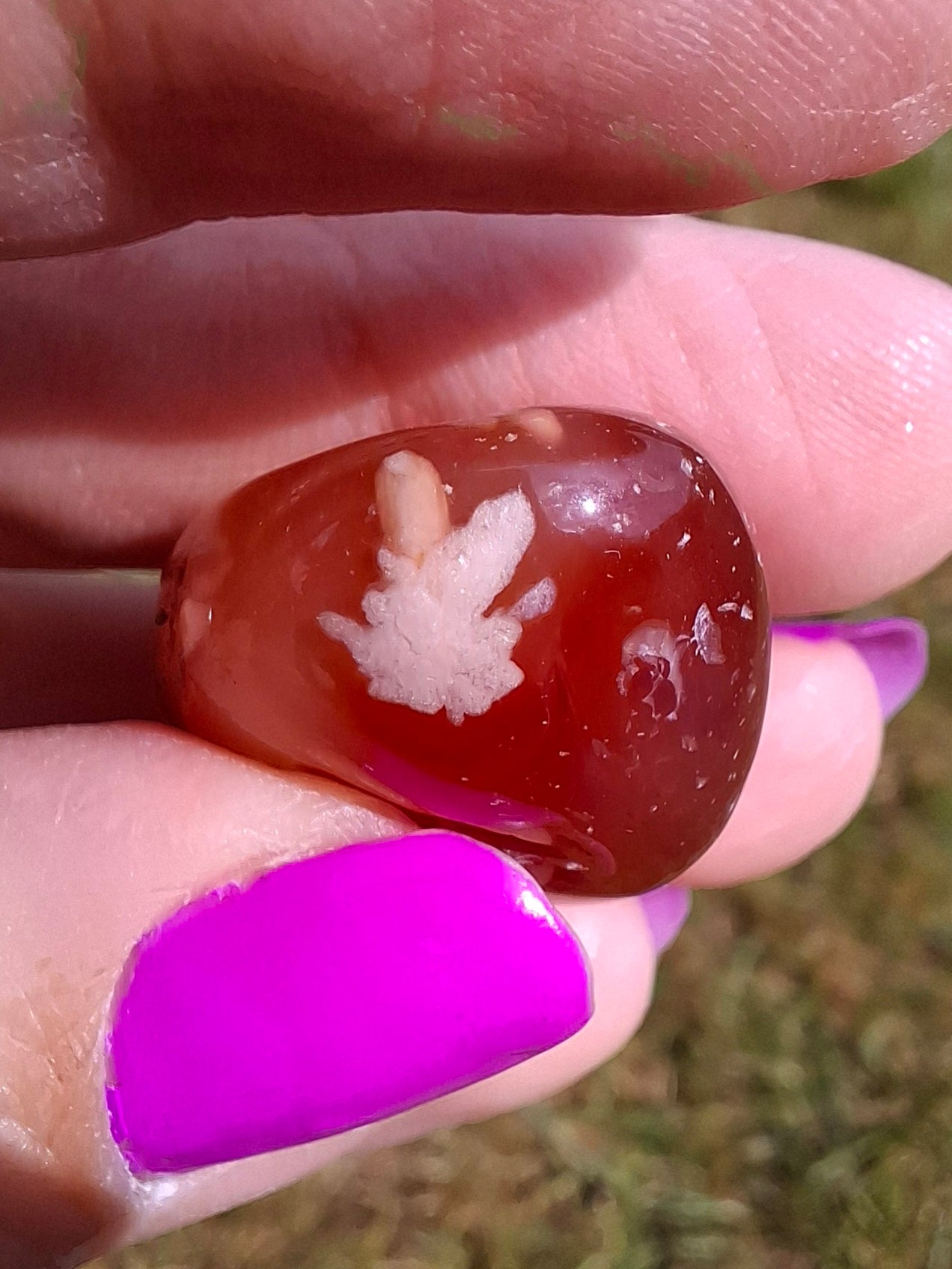 Carnelian, Tumble Stone, Crystal (Ref: T61)