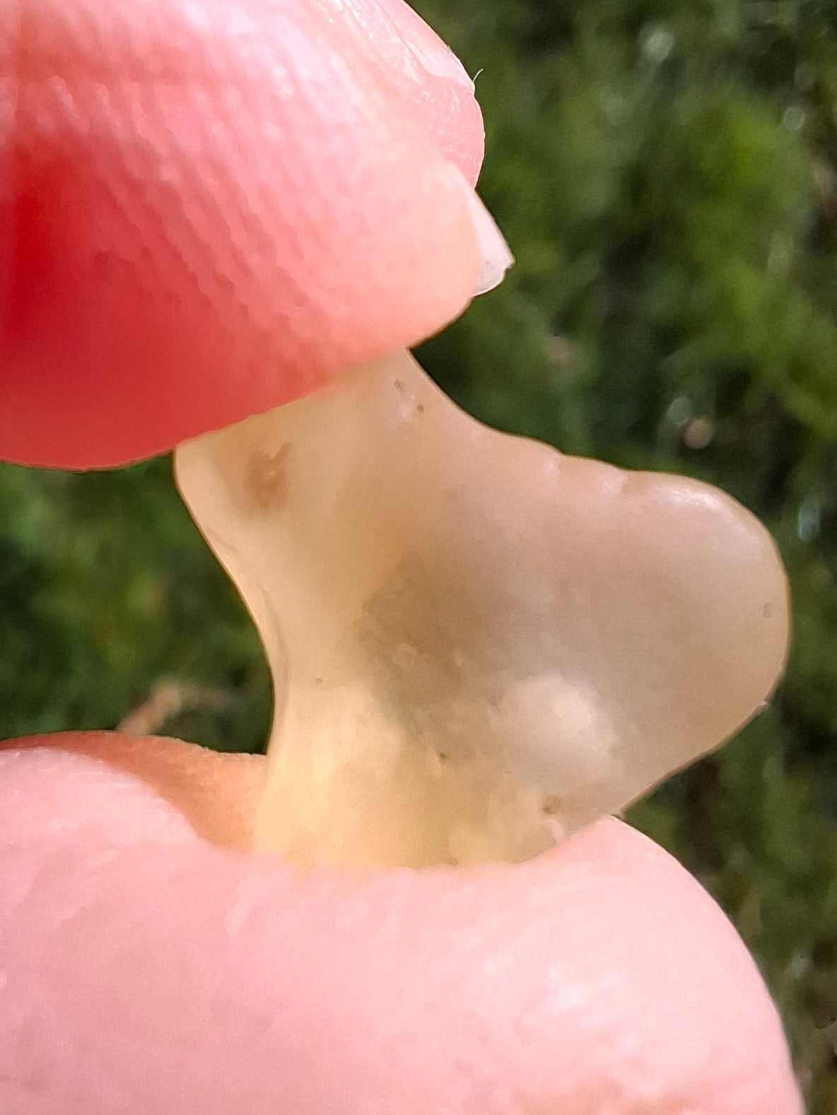 Libyan Desert Glass small Piece, 1.53g, Tektite (Ref: L1346)