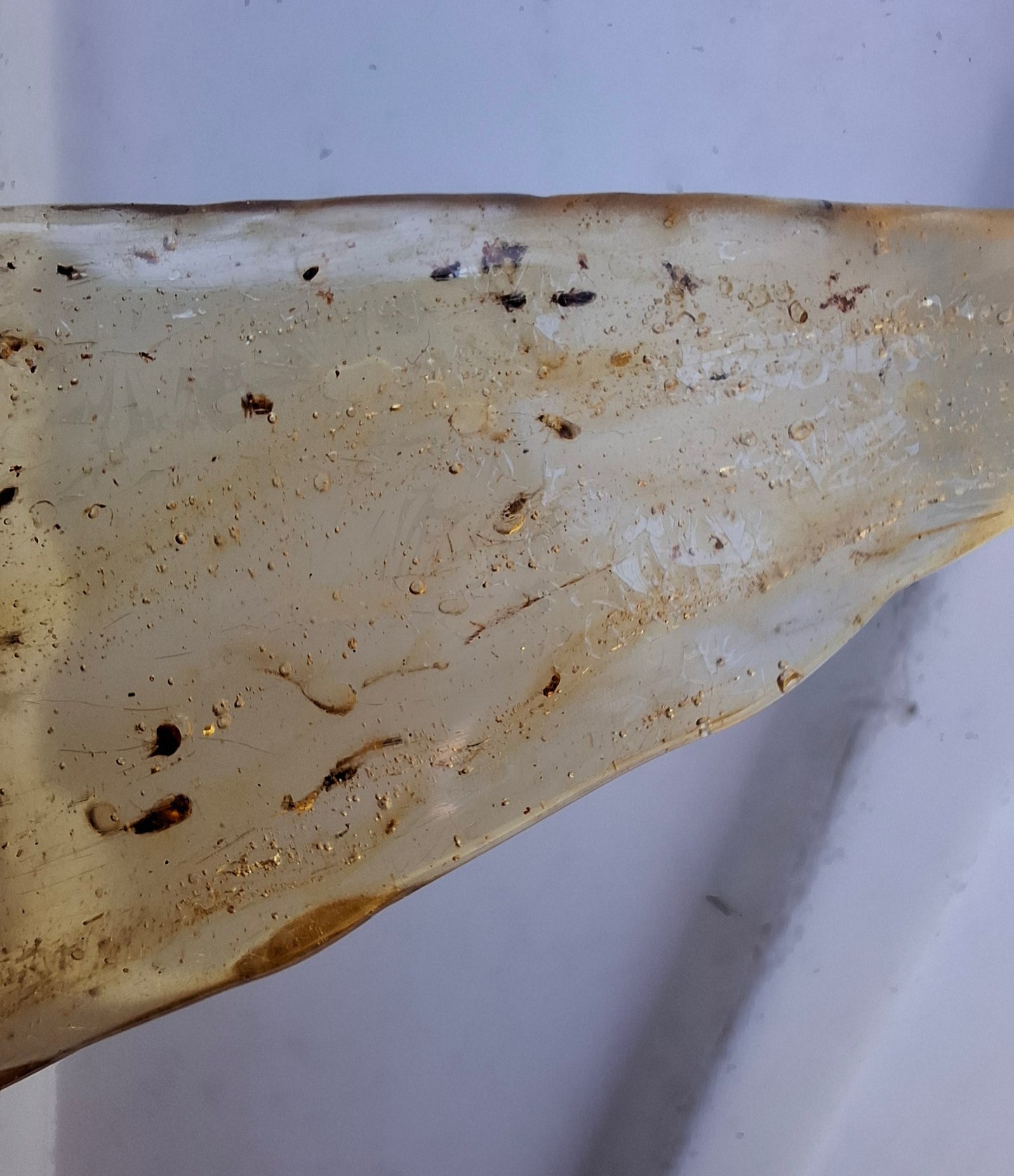 Copal Young Amber with INSECTS inside, 28.43g, Fossil (Ref: CA10)
