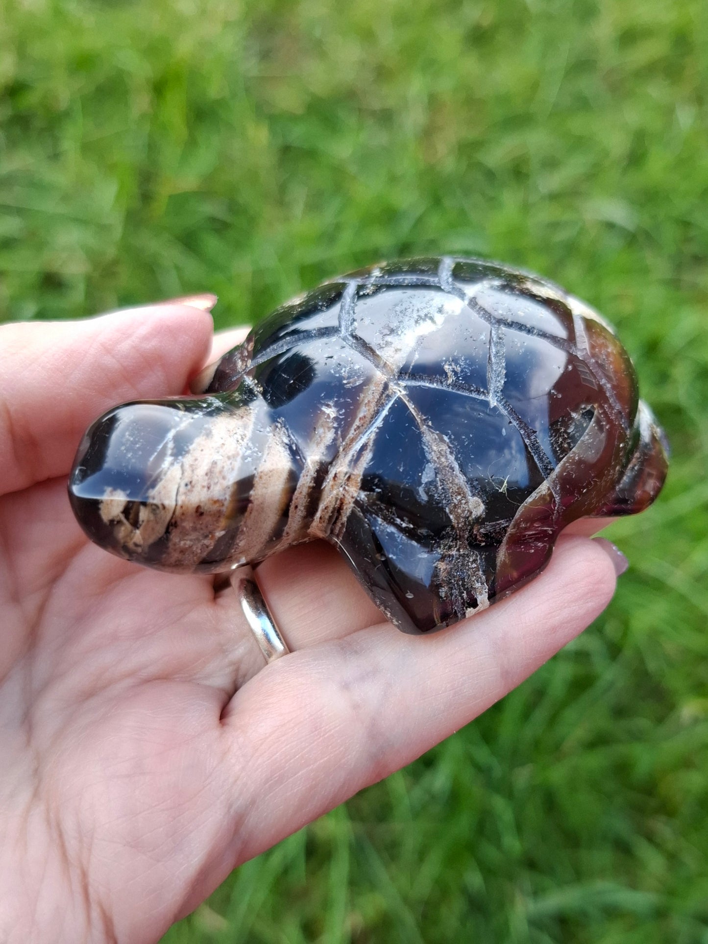 Red Amber Turtle, 50.00g, Carving, Fossil (Ref: TT6)