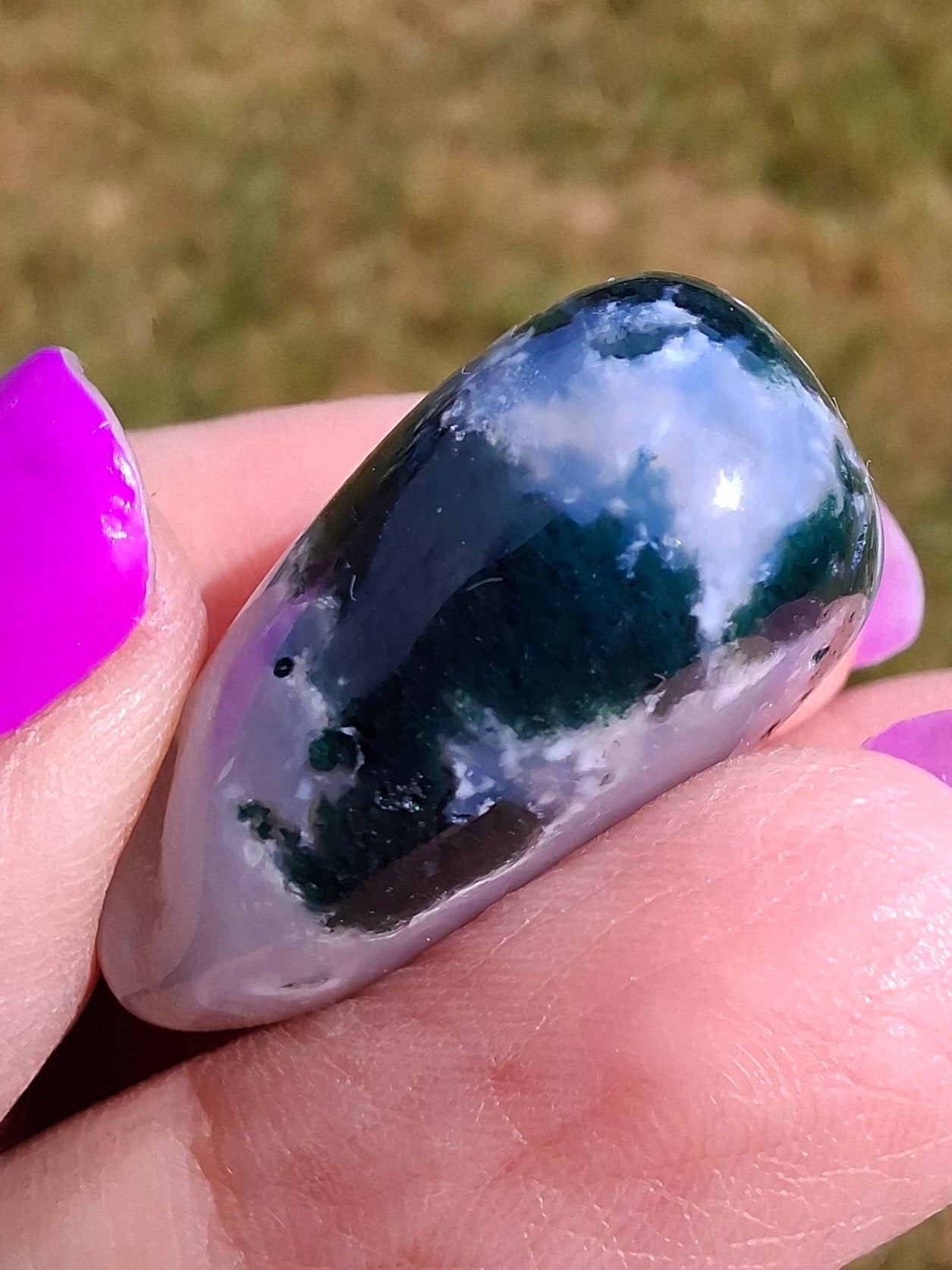 Tree Agate, Tumble Stone, Crystal (Ref: T2)