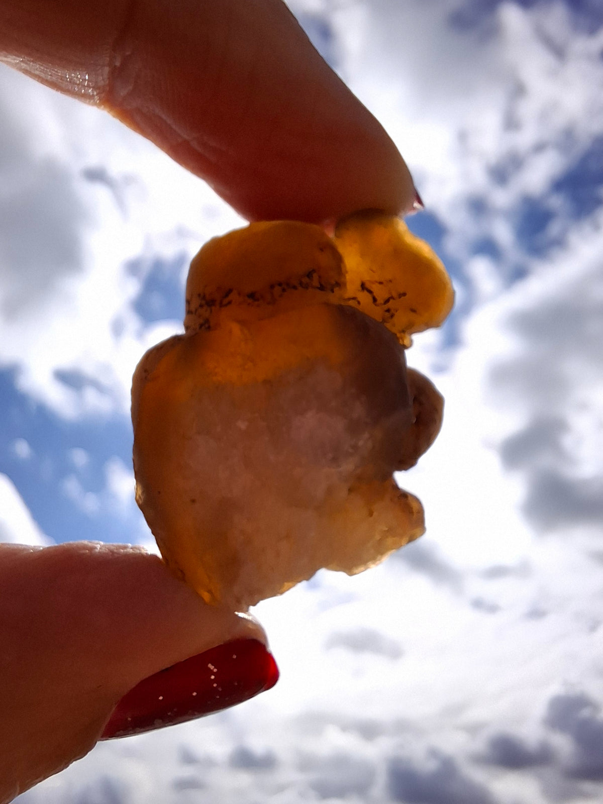 Nebula Chalcedony, 18.80g, Fossil (Ref: NC9)