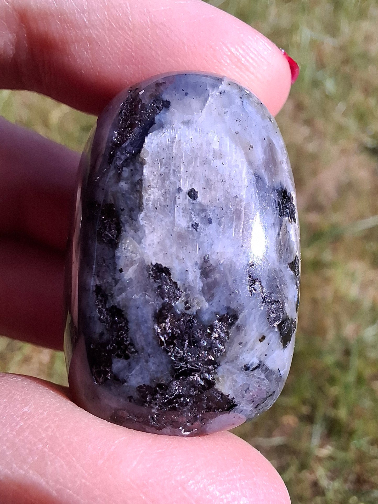 Larvikite, Tumble Stone, Crystal (Ref: T127)