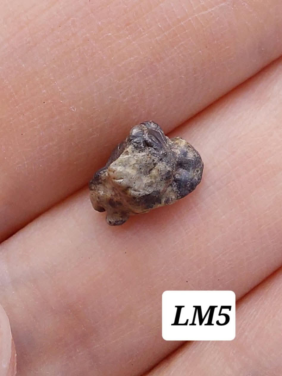 Lunar Meteorite, 0.32g, 'Moon Rock' (Ref: LM5)