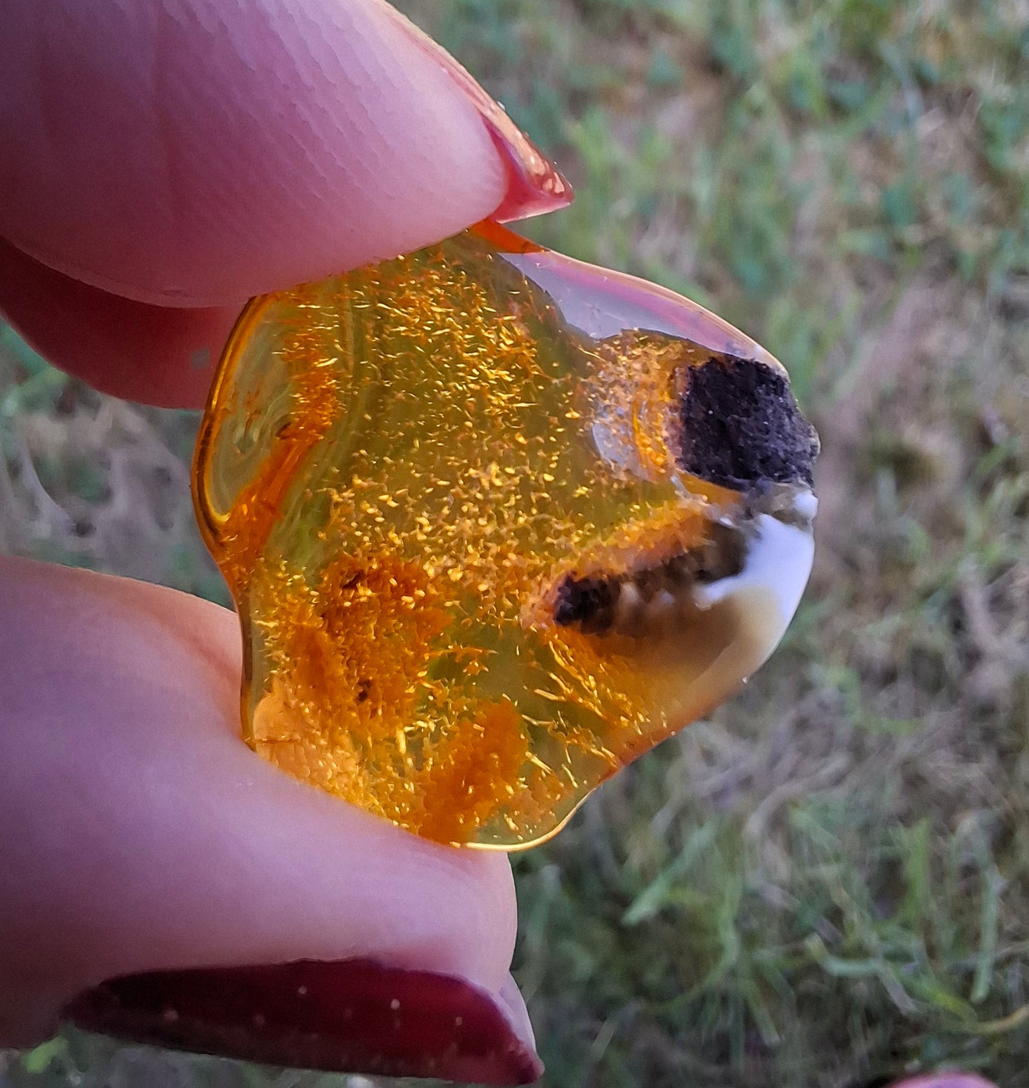 Baltic Amber, 1.45g, Fossil (Ref: A76)
