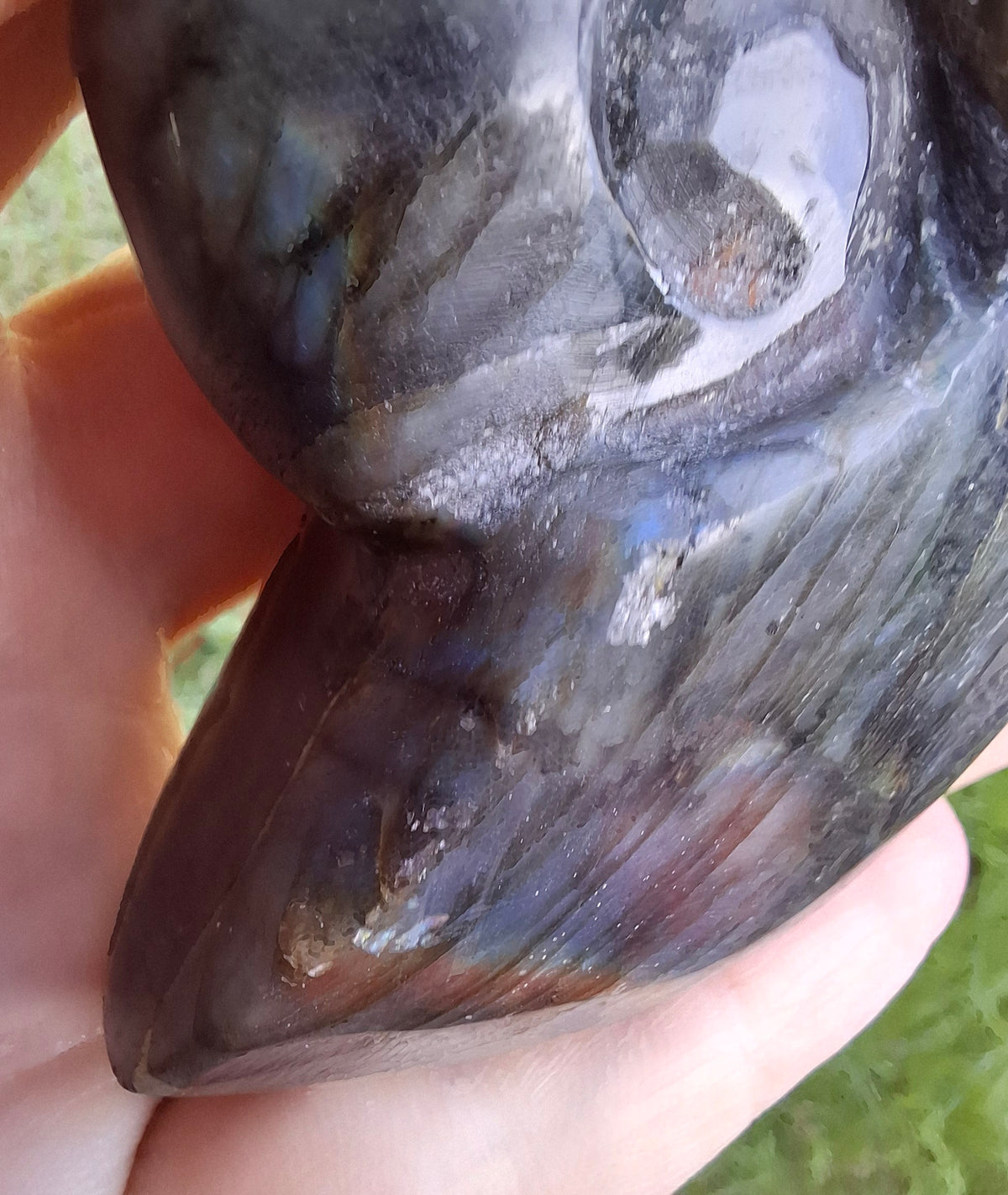 Labradorite Ammonite Carving, 153.97g, Crystal (Ref: laba2)