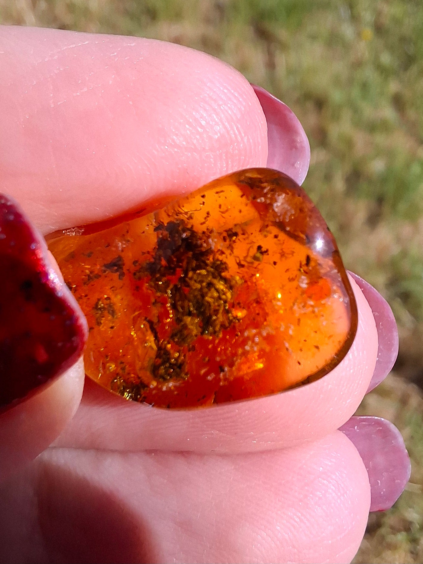 Baltic Amber, 1.13g, Fossil (Ref: A241)