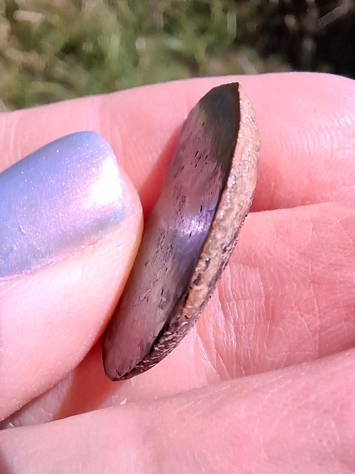 Small Haematite Ammonite HALF, 2.55g, Fossil (Ref: MA8)